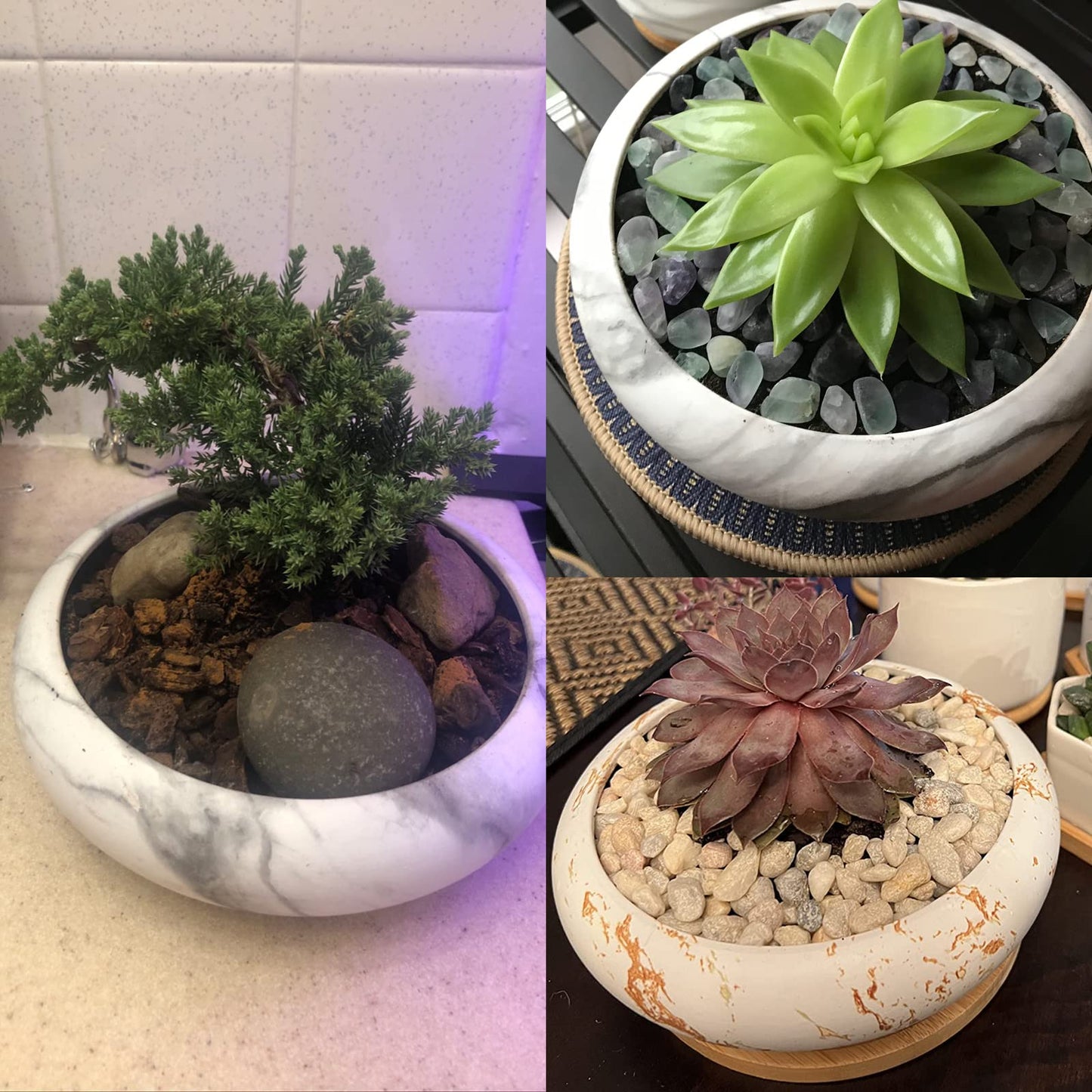 ARTKETTY Succulent Pots - 7.3 Inch Large Bonsai Pots with Drainage Tray, Ceramic Pots for Indoor Plants, Shallow Succulent Planters Marble Cactus Flower Plant Container Bowl