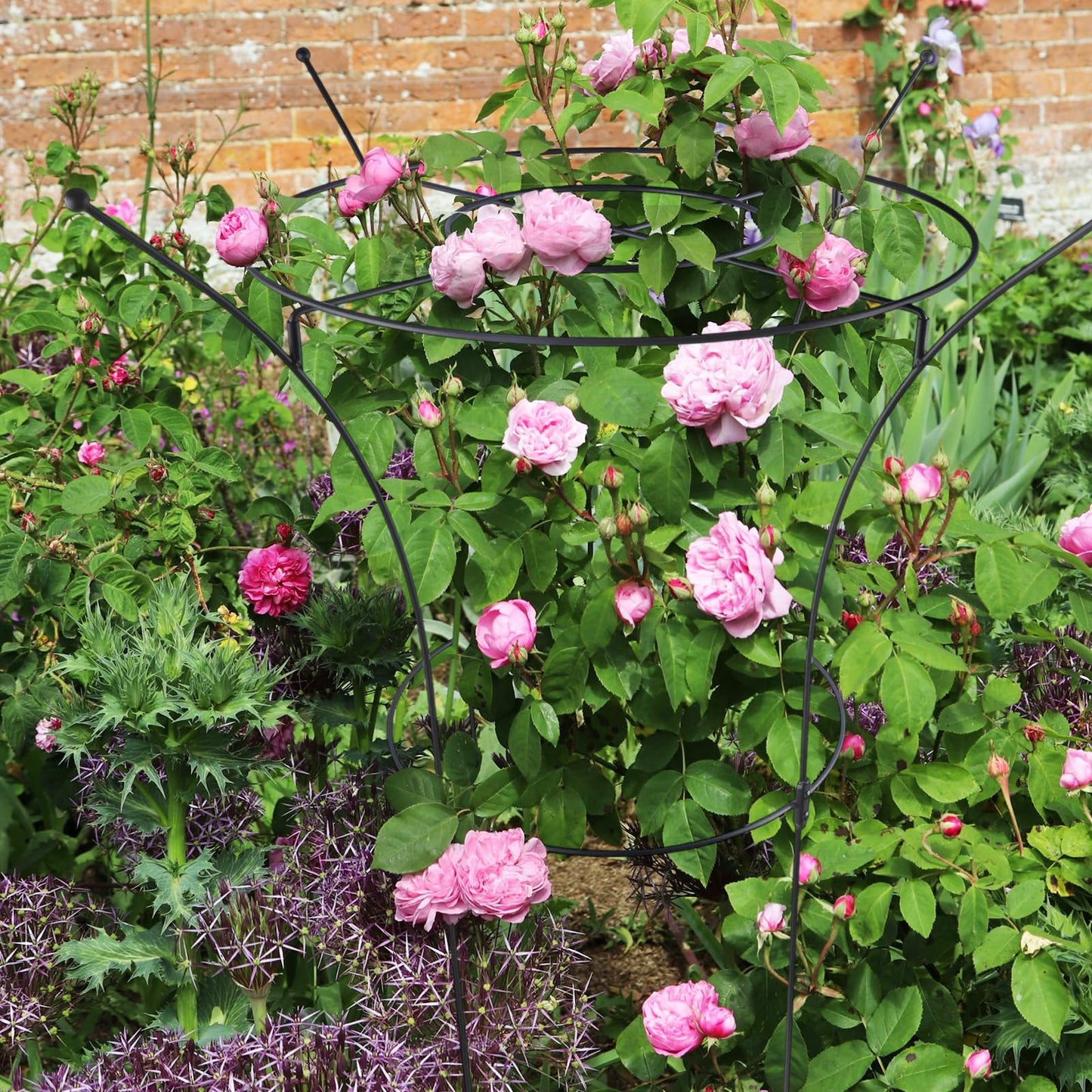 HEYTIMI 1 Pack Large Peony Cages and Supports, 38" H x 19" D Tall Heavy Duty 5mm Black Metal Garden Stakes for Outdoor & Indoor Plants, Sturdy Rust-Resistant Frame for Peonies Roses Flowers