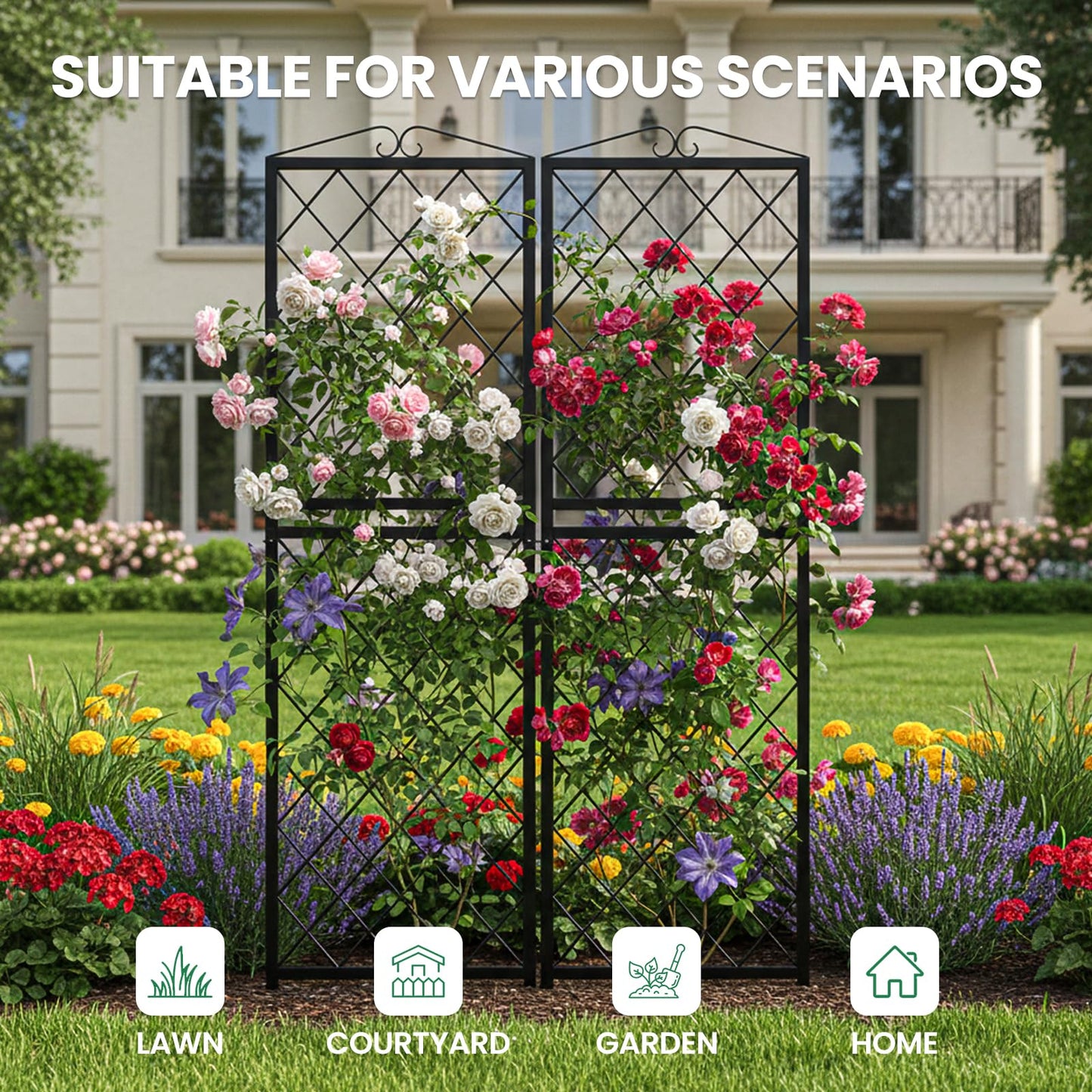 SUNYRISY 2Pack Metal Garden Trellis for Climbing Plants Outdoor, 71x20in Metal Plant Support for Flowers Tomato Cucumber Rose Vegetable Garden Courtyards Lawns Decoration