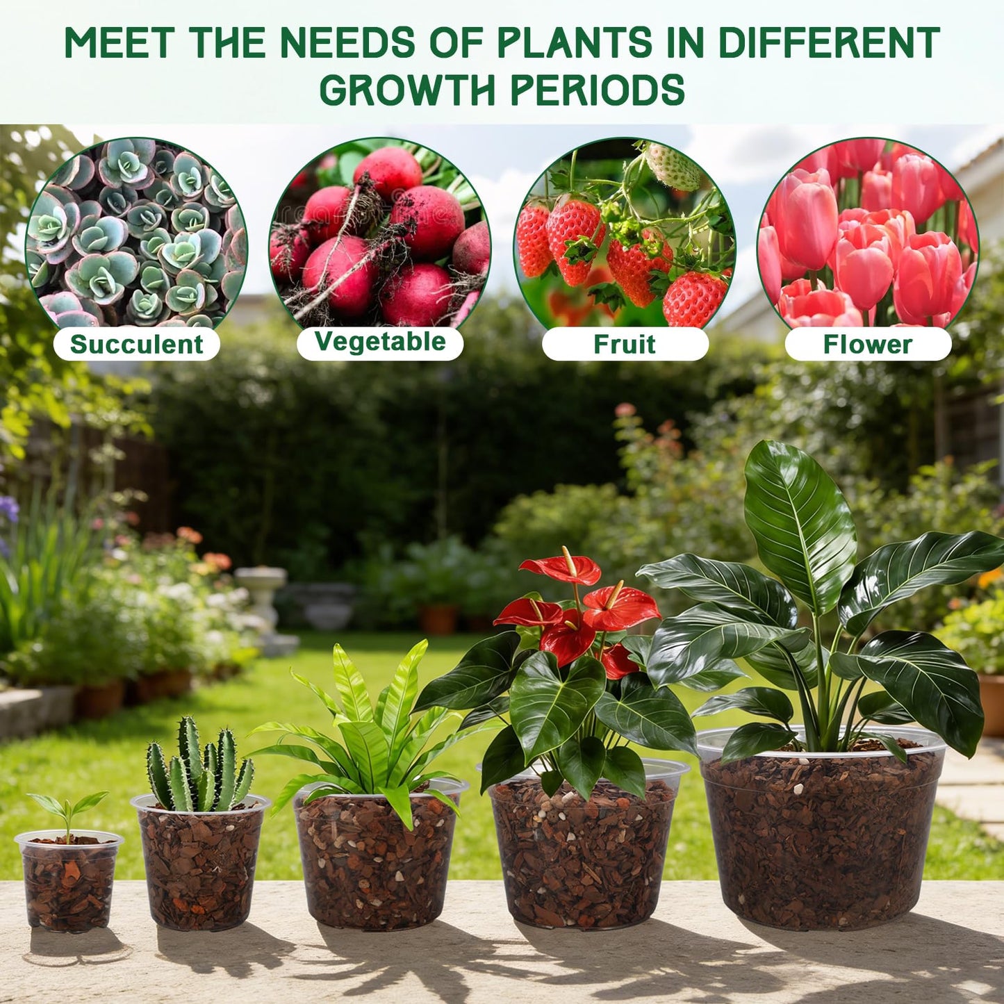OUPSAUI 35 Pack 4/6/8/10/12 Inch Clear Nursery Pots with Drainage Hole, Clear Large Plastic Pots for Plants, Transparent Variety Seedling Planter for Vegetable Flowers Fruits