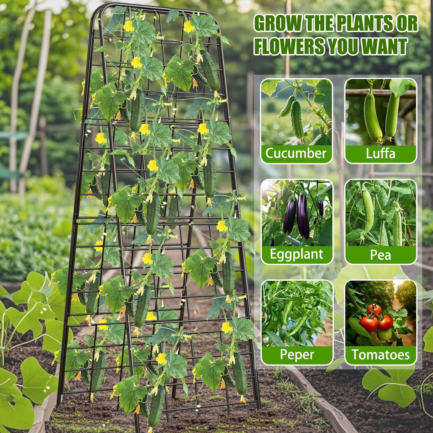 Heavy Duty 50"x17" Adjustable A-Frame Trellis for Climbing Plants – Rust-Proof Metal Garden Trellis with Dense Grid Design, Perfect for Raised Beds, Tomatoes, Cucumbers & Outdoor Vines (Black, 2 Pcs)