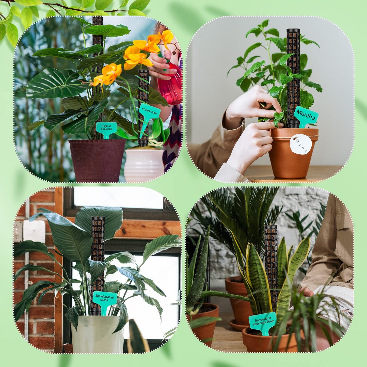 10 Set Plastic Moss Poles for Climbing Plants Indoor Stackable Self Watering Hollow Monstera Plant Support, Moss Not Included(Black)