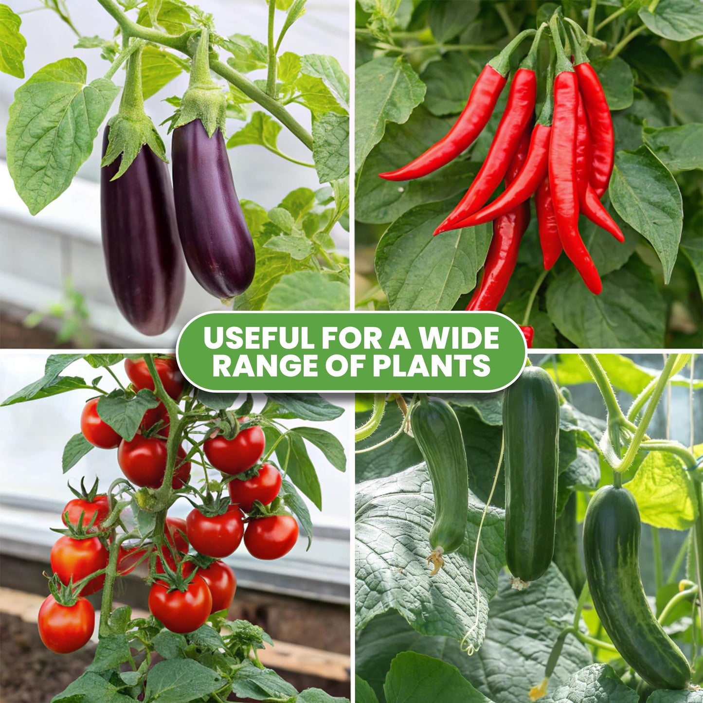 K-Brands Tomato Cage - Tomatoes Plant Stakes Support Cages, Trellis for Garden & Pots, Plant Support Structures for Vegetables and Climbing Plants (6 Pack - Tall Upto 68 inches)