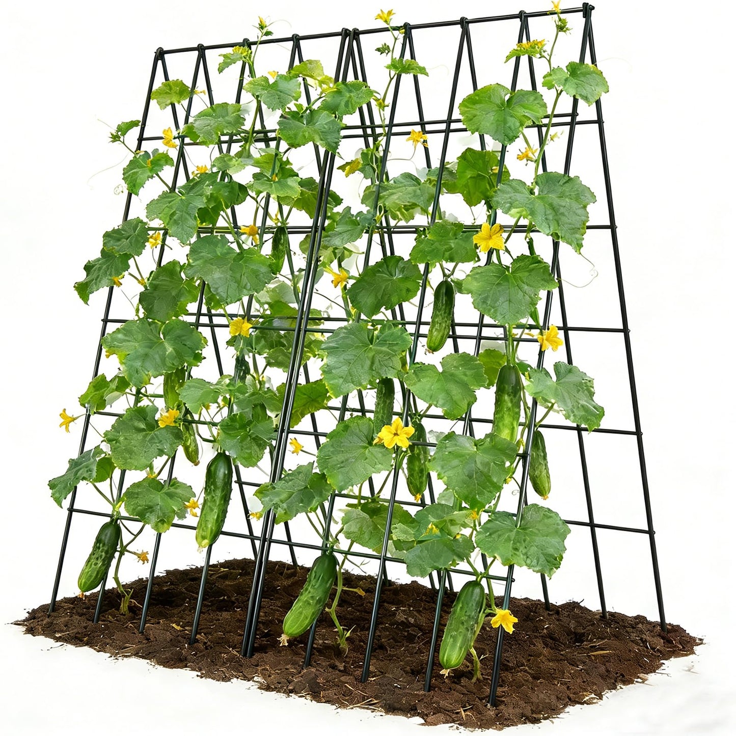 UrGROWA Cucumber Trellis 2 Pack, Foldable A-Frame Garden Trellis for Raised Bed Garden Grow Support with Plant Support Clips, Twist Ties, Plastic Ties, for Cucumber,Tomato, Climbing Plants and Flowers