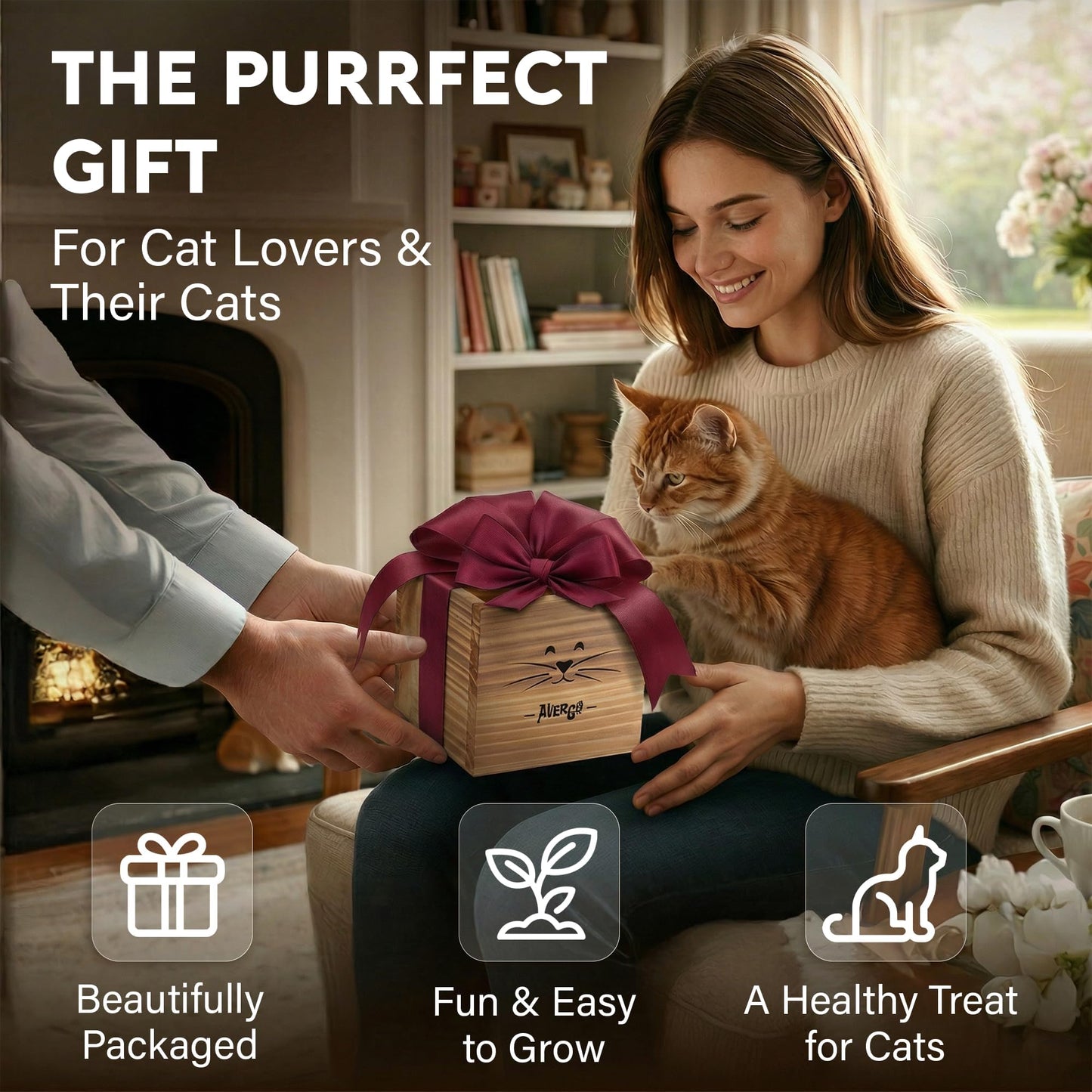 Cat Grass Kit for Indoor Cats – x2 Seed Packets | Cat Grass Seeds with Wooden Planter & Soil for Nipping & Nibbling – Pet Wheatgrass Grass