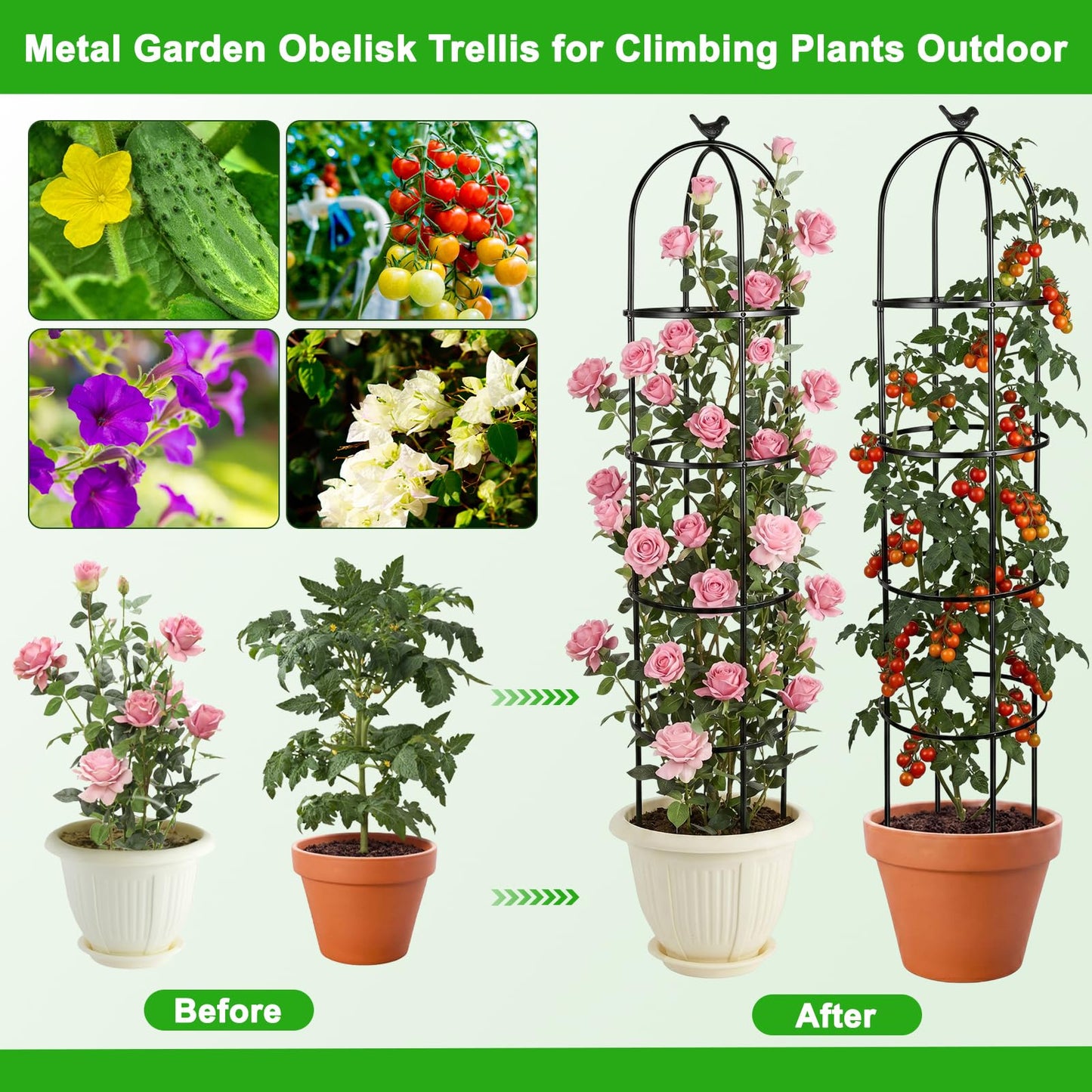 HEYTIMI 2 Pack 6 Ft Heavy Duty Metal Garden Obelisk Trellis for Climbing Plants, Rust‑Resistant Black Steel Vine Support for Rose Clematis Jasmine, Potted Flower Stand Indoor & Outdoor Decor (Spheres)