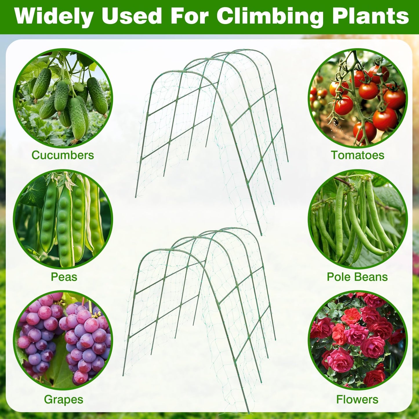 Frienda 2 Pack Garden Cucumber Trellis for Climbing Plants Outdoor 48 x 48 Inch U Shape Cucumber Trellis for Raised Bed Metal Arch for Vegetables Tomato Pea Bean