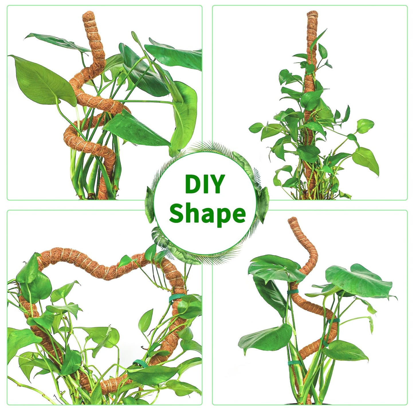 Dimpoo 2 Pack Moss Pole, 63-Inch Moss Poles for Plants Monstera,Bendable Plant Support Stakes for Climbing Plants Indoor, Garden Trellis Plant Stick for Potted Plants, Pothos Philodendron