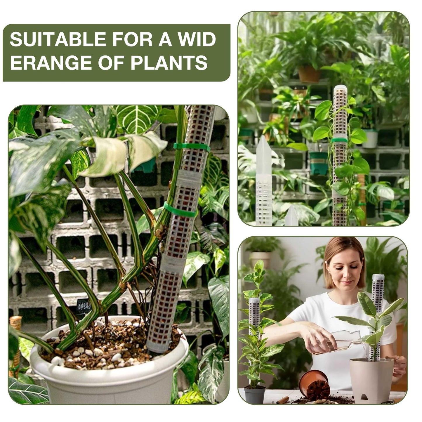 Sturdy Moss Poles for Climbing Plants - Extendable & Adjustable Small Moss Pole Monstera Plant Support Ideal for Indoor and Climbing Plants & More, Extendable Length 11.1'' to 31.2'', Set of 5