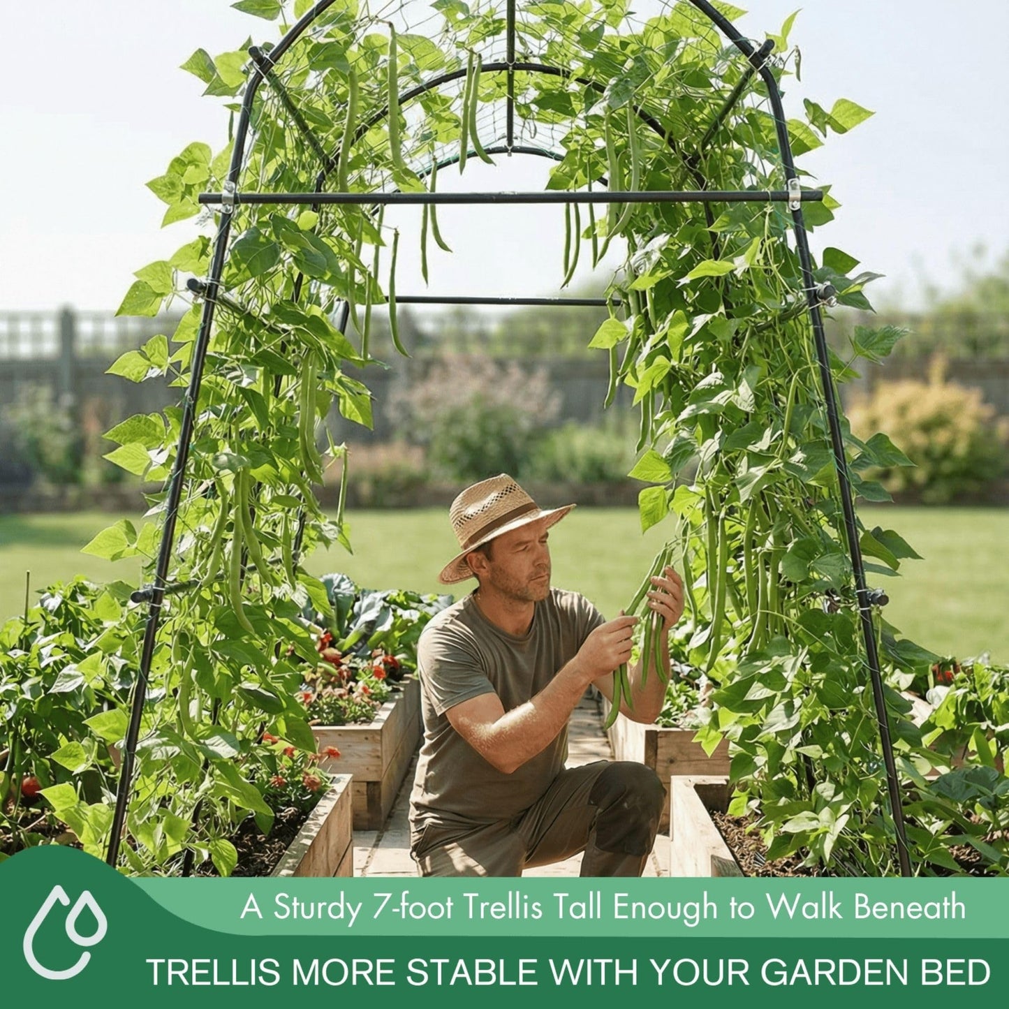 BAXAM 7ft Garden Arch Trellis for Climbing Plants Outdoor-Heavy Duty Metal Cucumber Trellis for Raised Beds- Tall Steel Vegetable Arbor with Strong Bolt Assembly & Outdoor-Ready Stakes