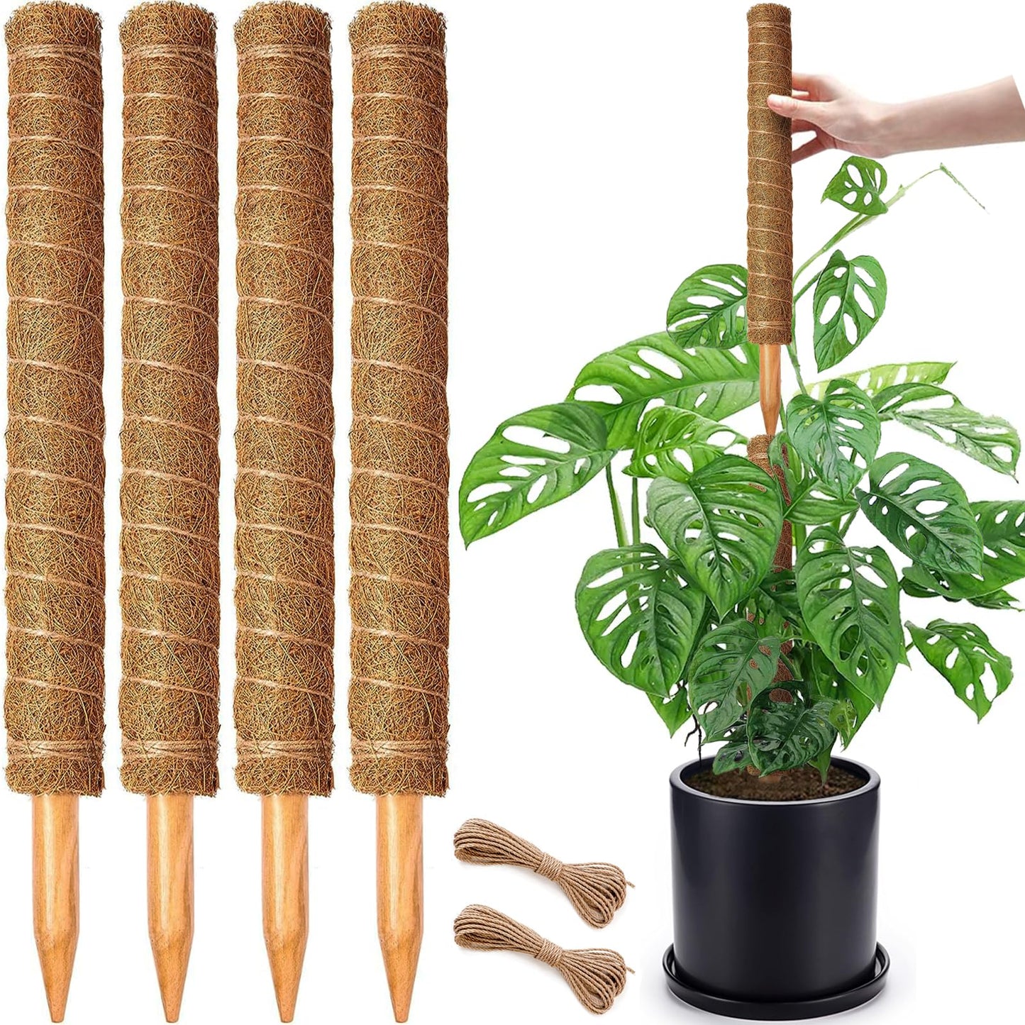Moss Pole Set, Stackable Moss Poles for Climbing Plants Monstera, Tall Plant Sticks Accessories, Large Coir Plant Support Stakes for Potted Plants Indoor, Pothos, Philodendron