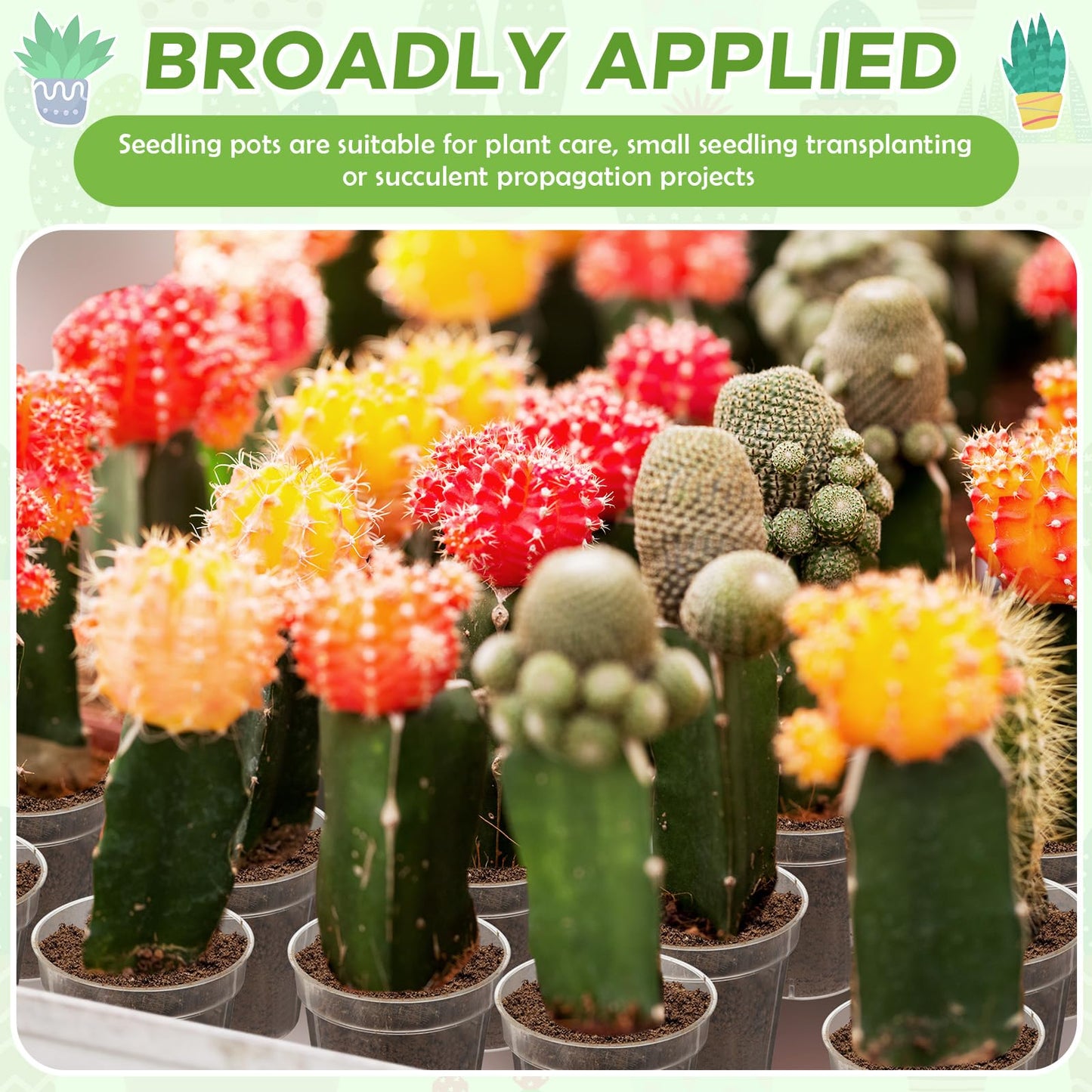 Yaomiao 200 Pcs 2 Inch Clear Mini Plastic Plant Pot Nursery Seedling Pots Seed Starter with Drainage Holes for Indoor Outdoor Garden Succulent Plants Cuttings Transplanting