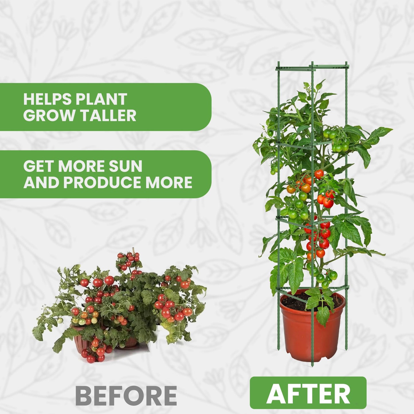 Tomato Cage Premium - Large Trellis Stakes and Plant Support Structures for Vegetables and Climbing Plants - Tall Tomato Cages for Garden, Pots, Raised Garden Bed Outdoor (1 Pack - Up to 63")