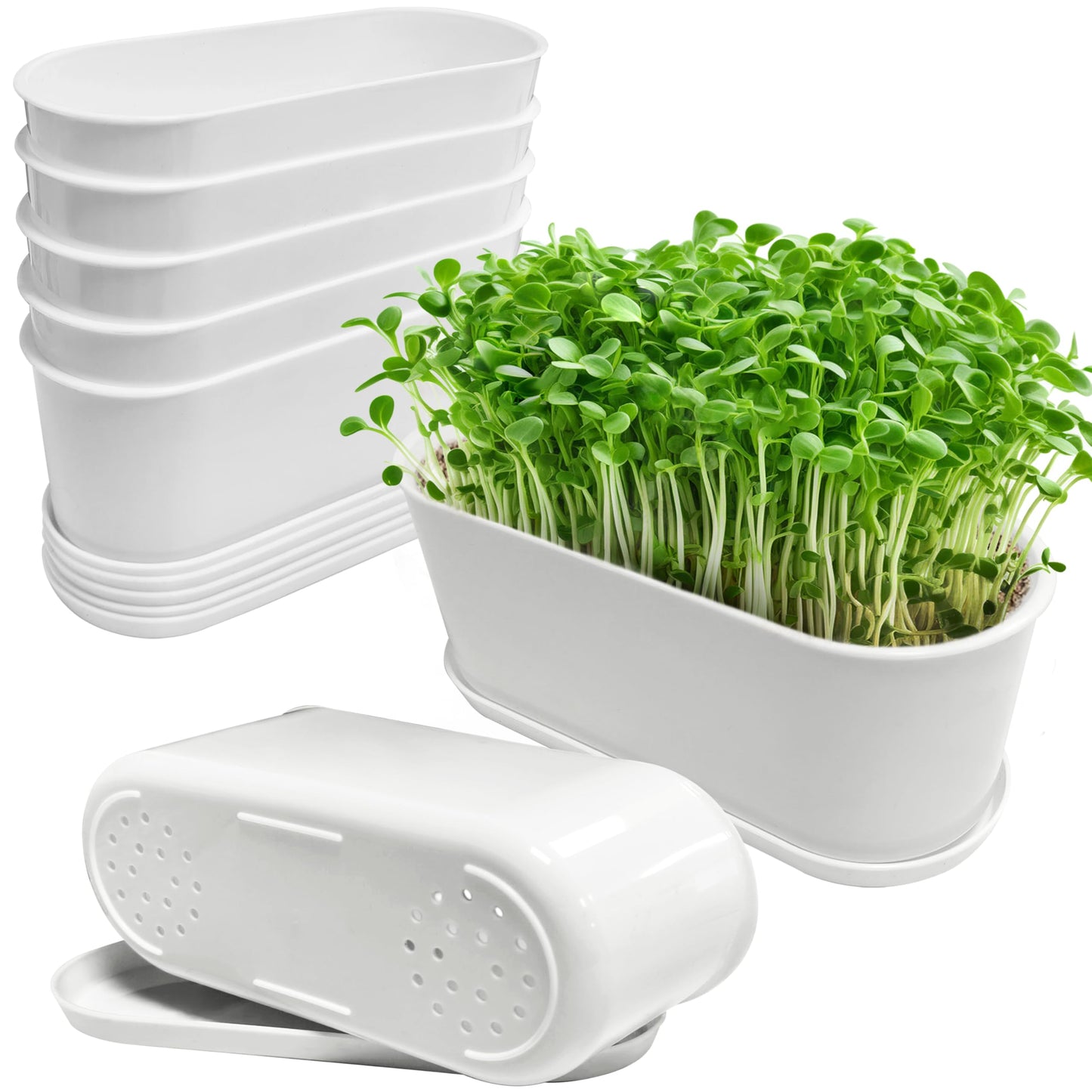 Torfican 5 Set Window Herb Planter Box Rectangular,8.5x3.5 Inch White Plastic Planters with Multiple Drainage Holes and Trays,Indoor Succulent Cactus Mint Flower Pot for Windowsill,Garden Balcony