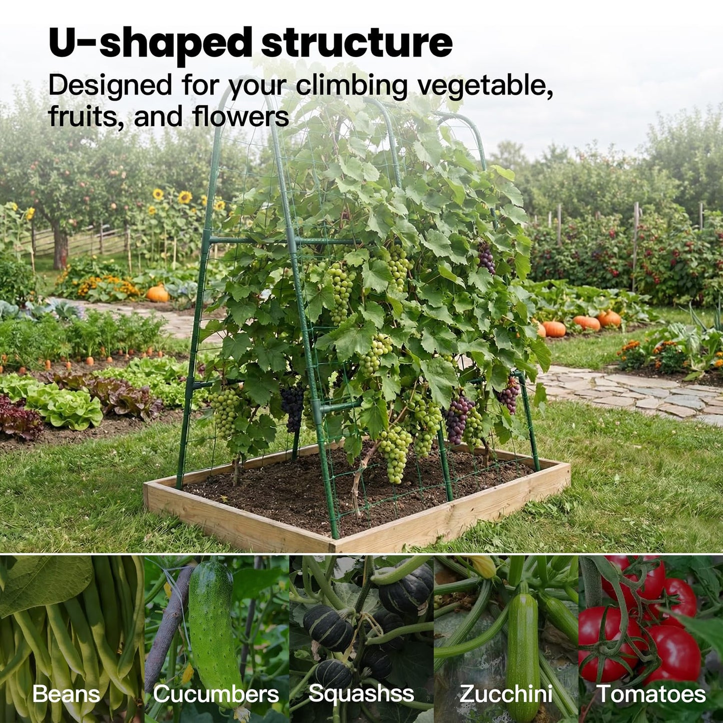 Cucumber Trellis for Raised Bed, Garden Trellis for Climbing Plants Outdoor, Metal Arch Trellis U-Shape Vegetables Support for Tomotoes Grape Vines Beans Peas (Green, 31.5" L x 24" W x 48" H)