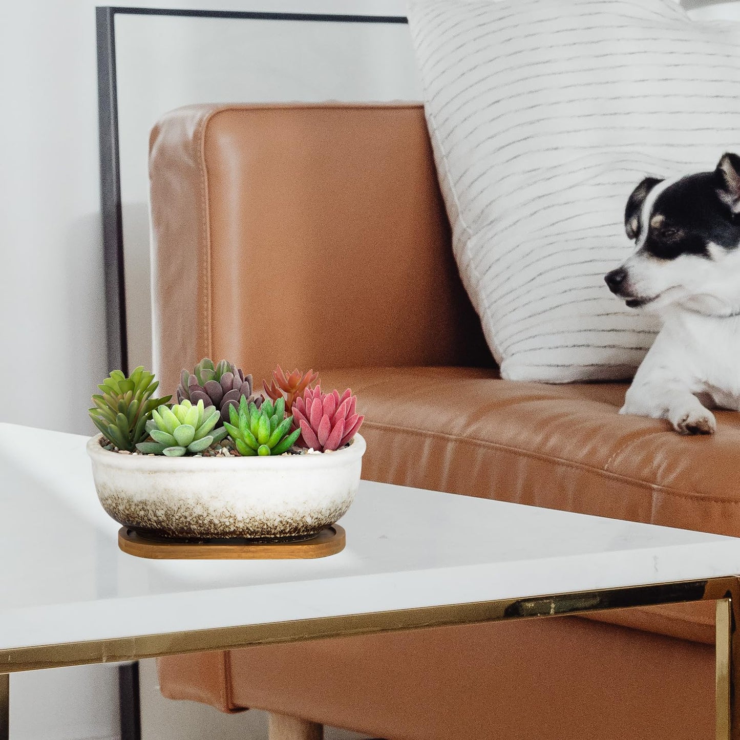 ARTKETTY Succulent Pots, 7.9'' Large Ceramic Pots for Indoor Cactus Plants, Shallow Succulent Planters with Drainage Tray, Oval Bonsai Plant Container Bowl Garden Home Windowsill Decor