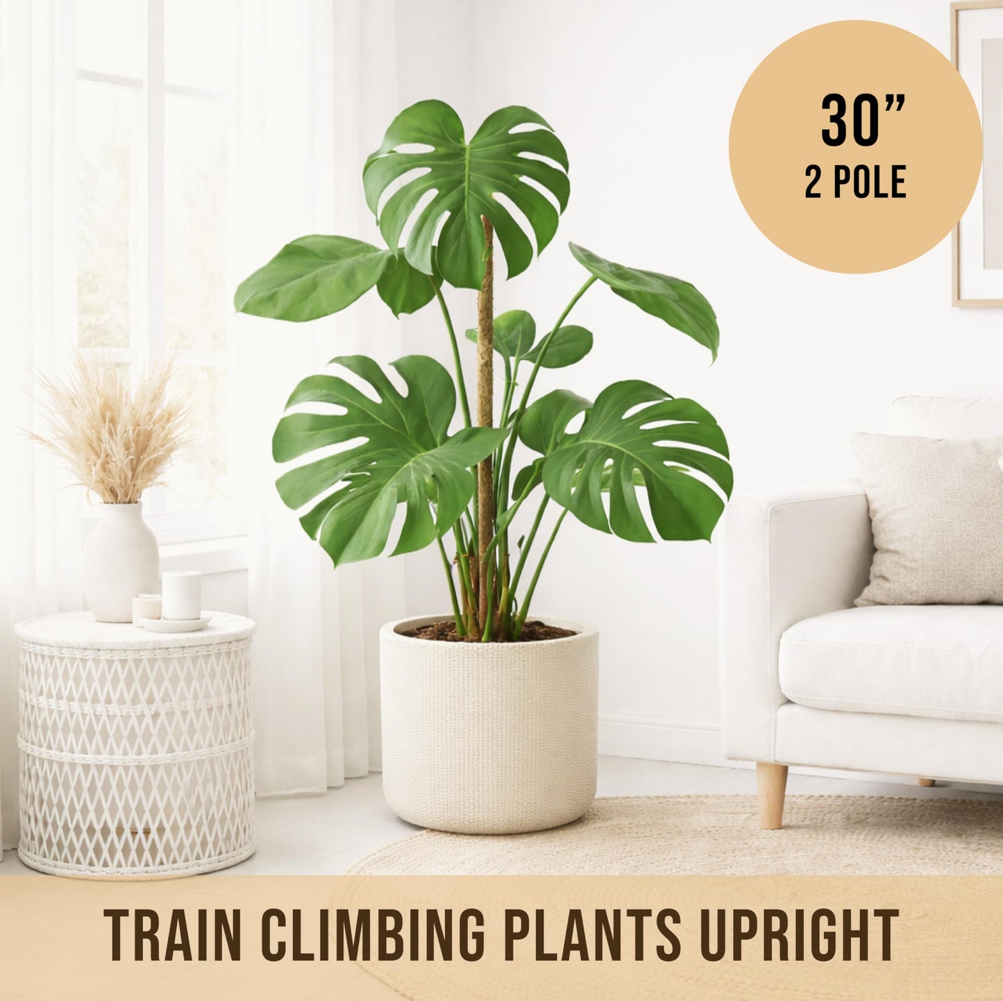 Craft911 Moss Pole Monstera Plant Support – 2 Pack 30” Bendable Moss Pole Monstera Plant Support, Plant Stakes for Indoor Plants, Tall Plant Sticks Support for Climbing Plants