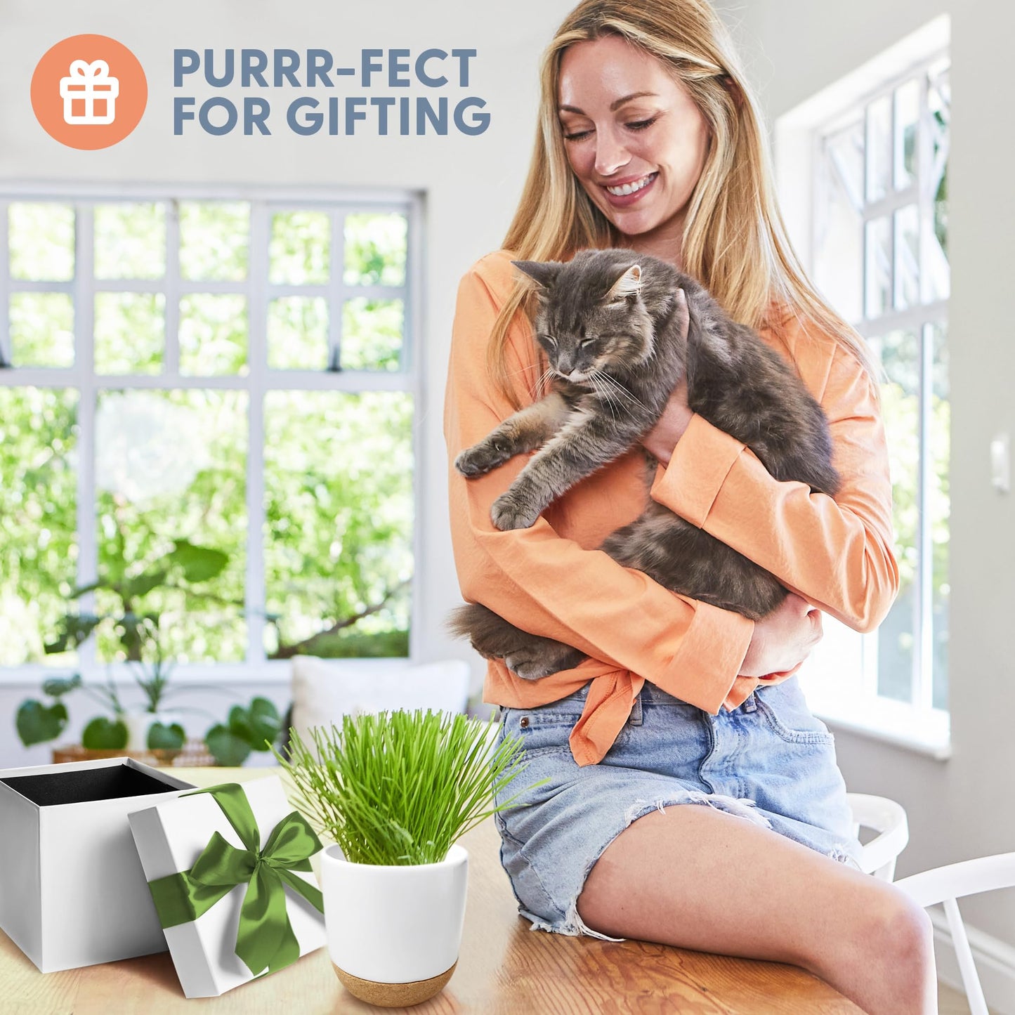 The Cat Ladies Cat Grass for Indoor Cats Kit with Organic Cat Grass Seed Mix, Soil and Ceramic & Cork Planter, Natural Hairball Remedy