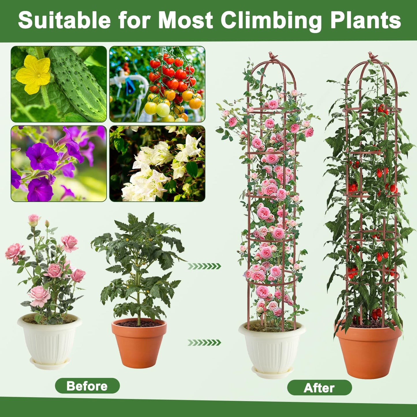 HEYTIMI 1 Pack 7Ft Heavy Duty Metal Garden Obelisk Trellis for Climbing Plants, Rust-Resistant Steel Vine Support Bird Finial for Rose Clematis, Potted Flowers Stand Indoor Outdoor Decor (Rose Gold)