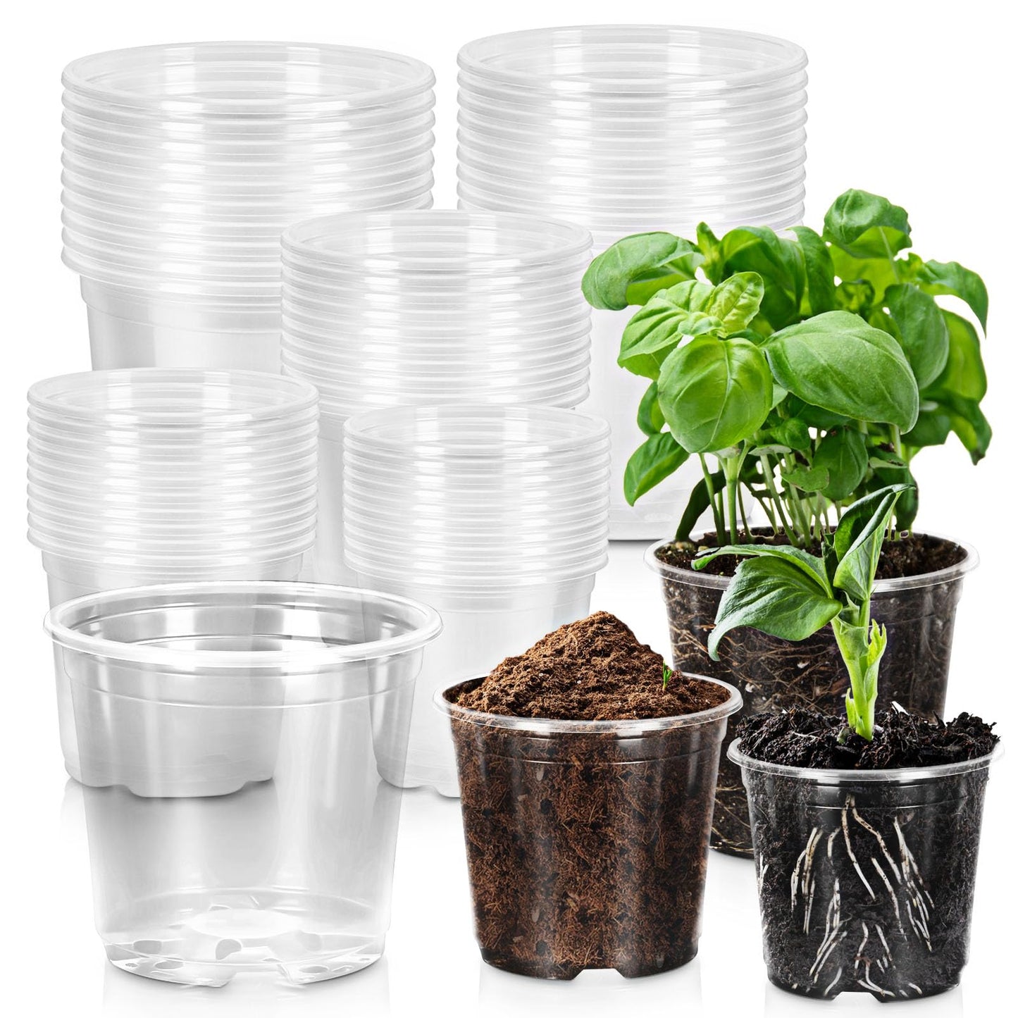 CXIIPOL 45 Pack Clear Nursery Pots for Plants, 7/6/5/4/3 Inch Clear Plant Pots with Drainage Holes, Plastic Nursery Pots for Beautiful Succulents, Landscape Plants, Lilies, Mint