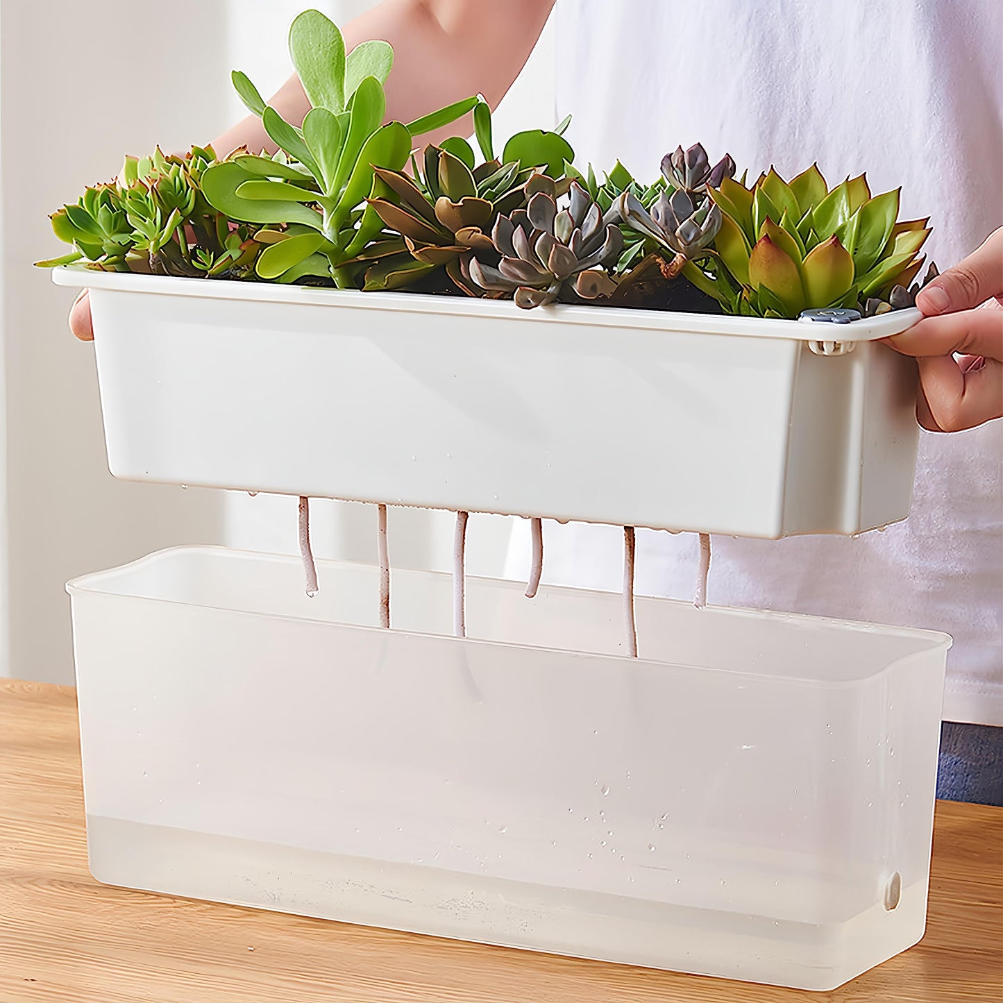 FAMZ Self Watering Pots for Indoor Plants 3 Pack Transparent Rectangular Planter, Vegetable Planters for Windowsill Patio Garden Balcony Home Porch Yard Indoor Outdoor, White