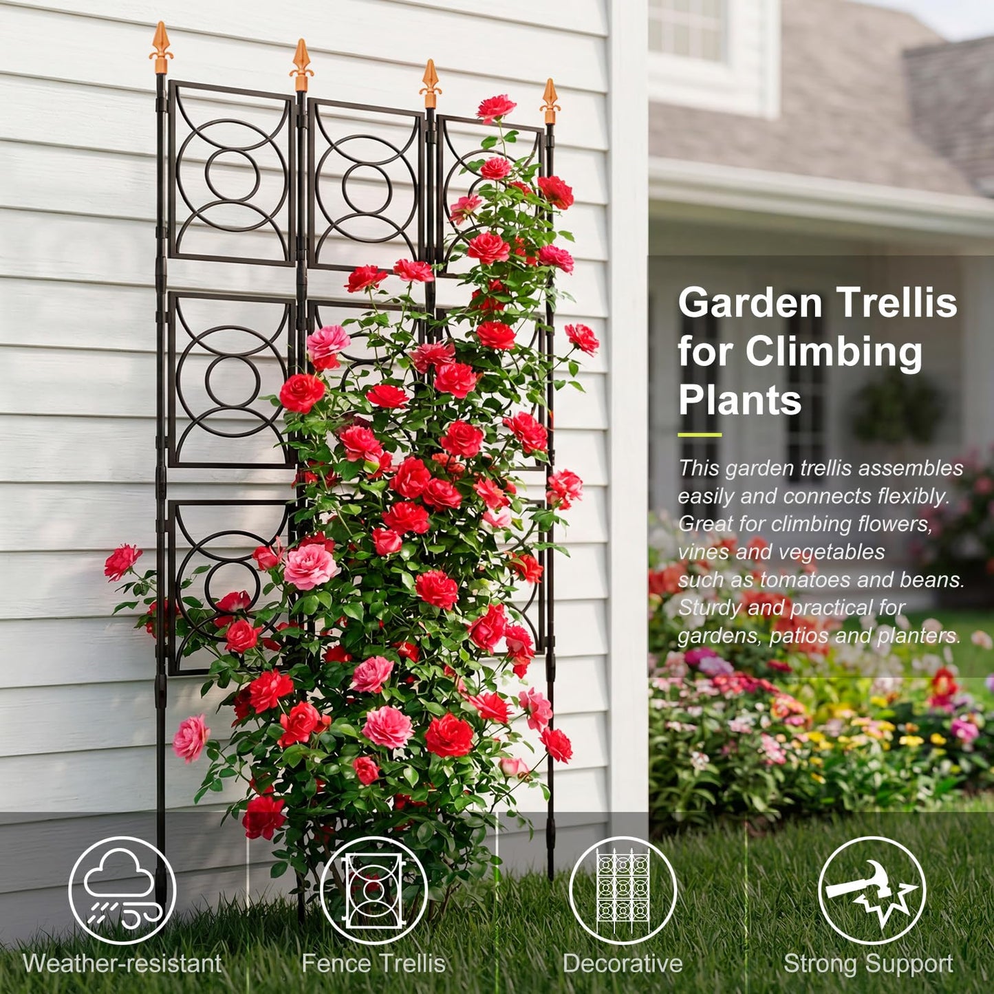 Trellis for Climbing Plants Outdoor, 24 Rifny Tall Garden Trellis Flower Rose Cucumber Trellis for Vines Pea Support, Wall Large Plant Trellis Fence with with Plastic Frame, 3 x 6.2 FT