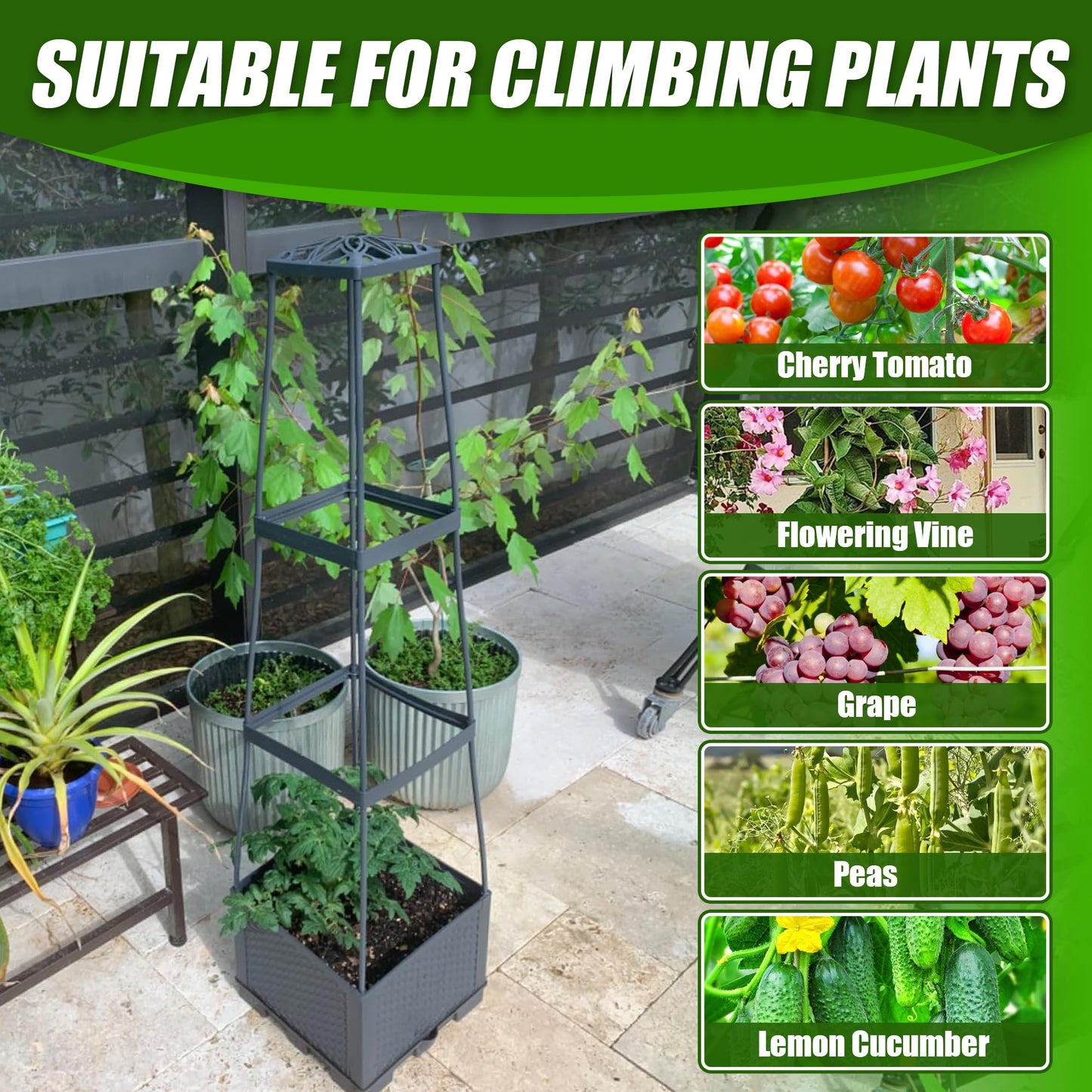 Biotolot 2 Packs Raised Garden Bed Tomato Planter Box with Trellis,56.8" Self-Watering Tomato Cage with Trapezoidal Trellis for Climbing Plants Flowers Vegetables Vine in Patio Garden Indoor Outdoor