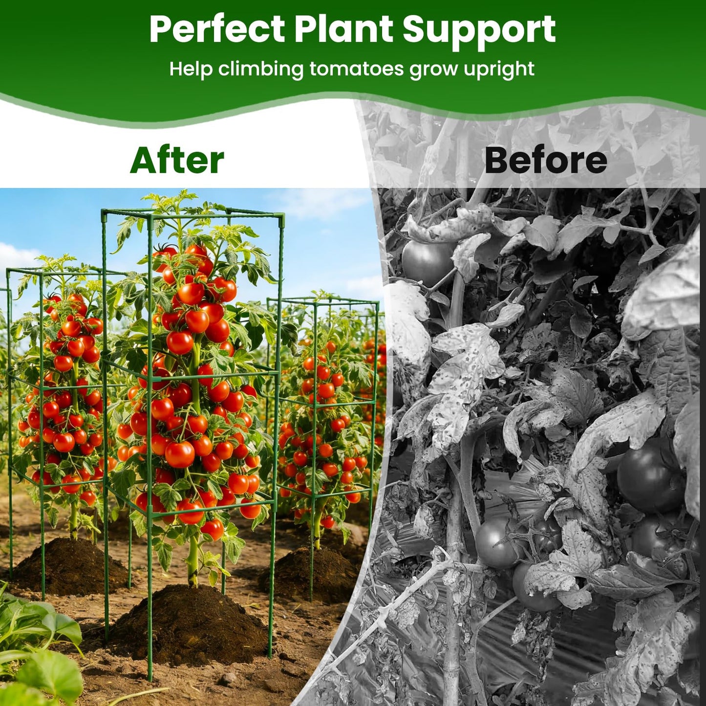 6 Pack Tomato Cages, 48'' Tall Tomato Plant Stakes Support for Raised Garden Bed Tomato, Square Trellis Cages for Garden Climbing Vegetables Flowers Fruits