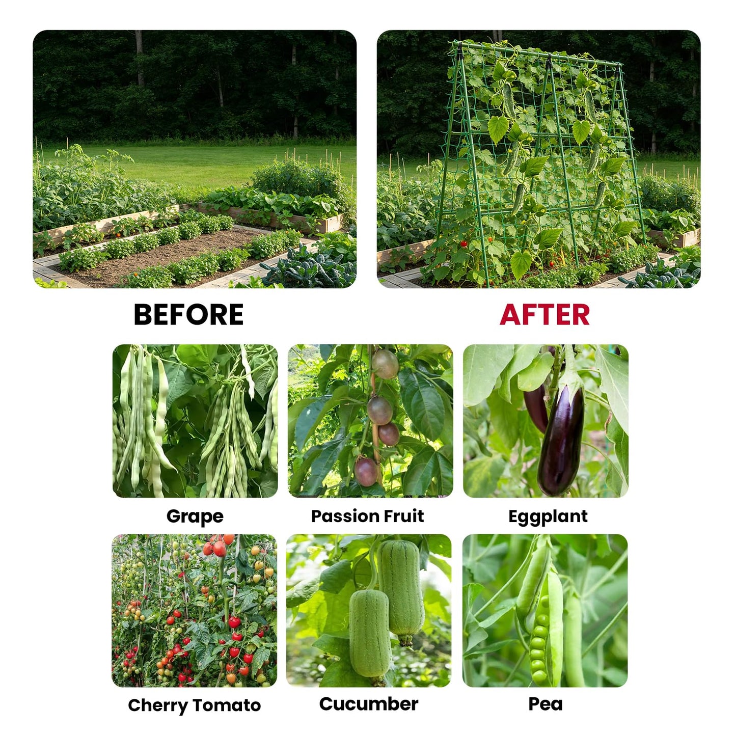 popsea Compact A-Frame Plant Trellis for Peas, Beans & Small Climbing Plants - 47'' H x 31.5'' W PE-Coated Galvanized Steel Garden Support with Netting, Ideal for Raised Beds & Container Gardens