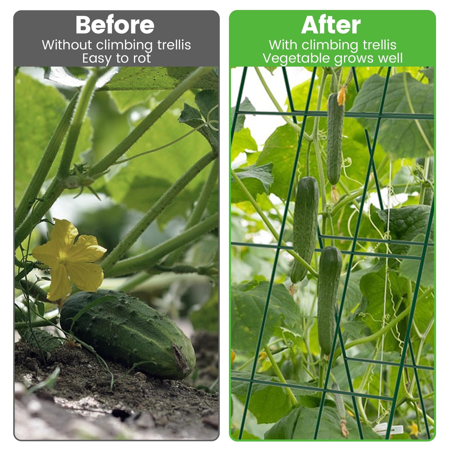 Toriexon Foldable Cucumber Trellis - 2 Pack, A-Frame Garden Trellis 46" L x 18" W, Steel Climbing Plants Support Raised Bed Trellis with Twist Ties & Plant Bags for Climbing Plants Outdoor
