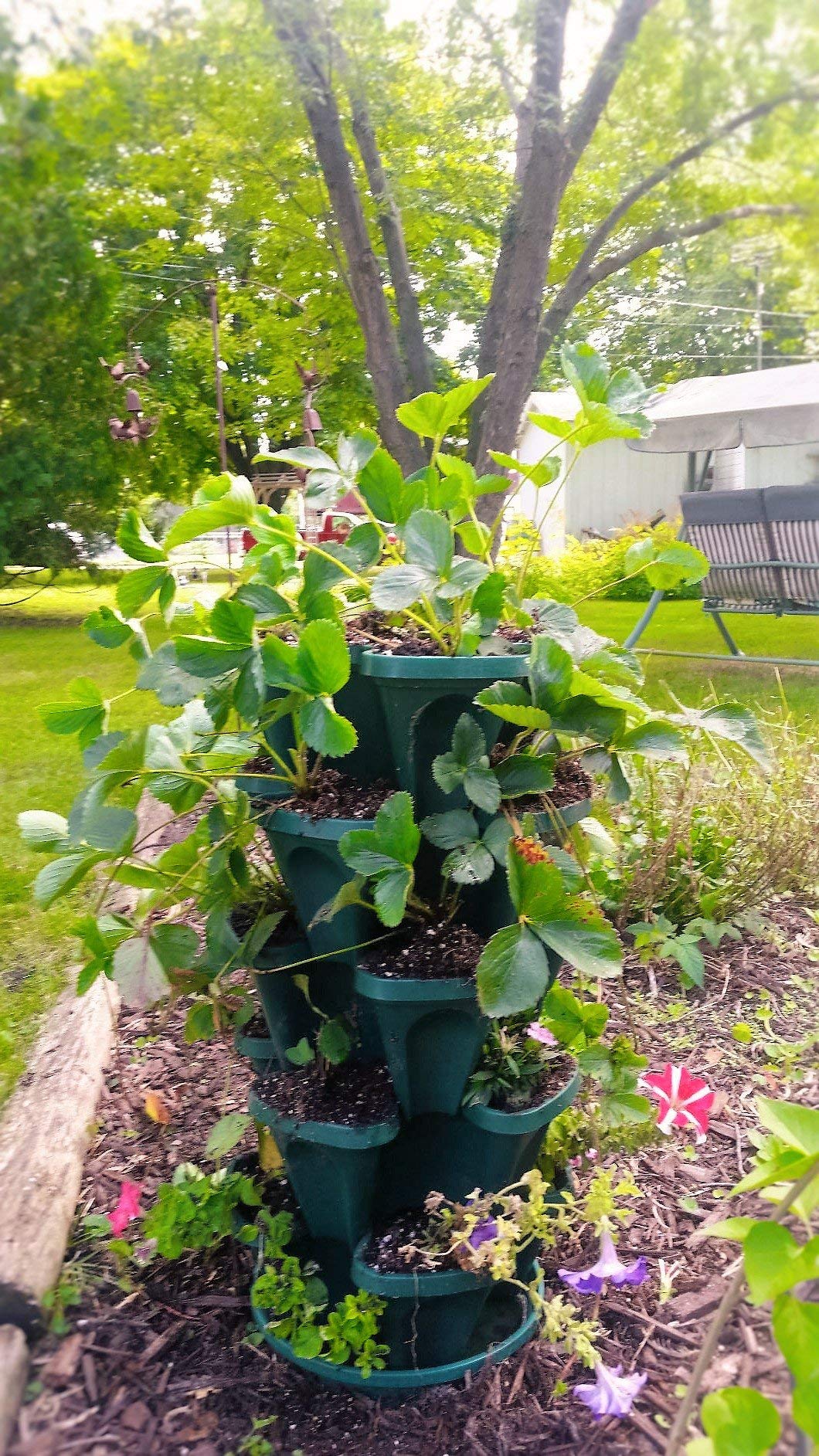 Mr. Stacky 1305-HG 5-Tier Stackable Strawberry, Herb, Flower, & Vegetable Planter - Vertical Gardening Indoor / Outdoor Stacking Garden Pots Hunter Green, 22.5 Quarts