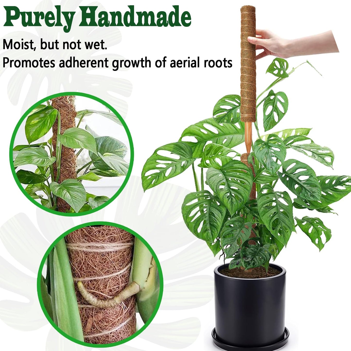 Moss Pole Set, Stackable Moss Poles for Climbing Plants Monstera, Tall Plant Sticks Accessories, Large Coir Plant Support Stakes for Potted Plants Indoor, Pothos, Philodendron