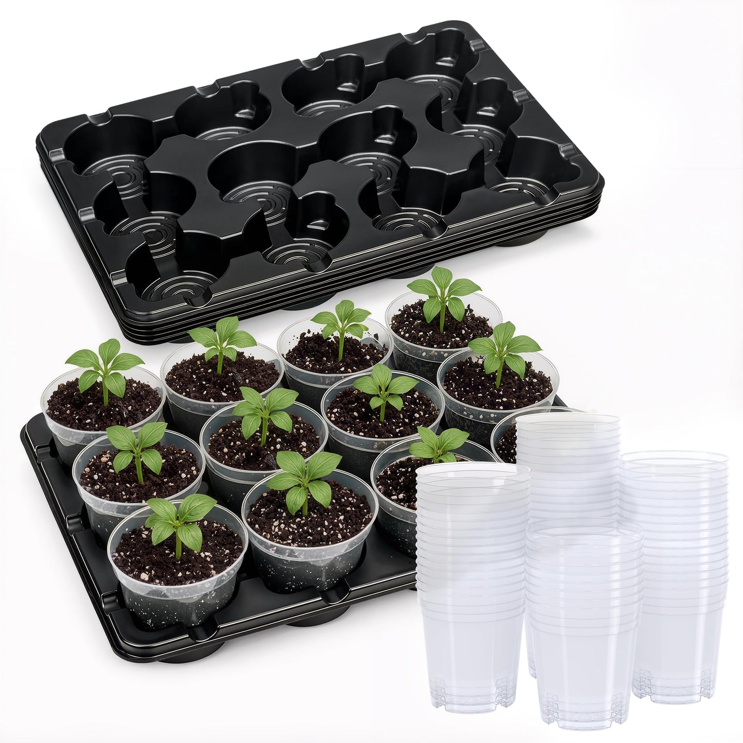 homenote 4 Inch Seed Starting Trays with Clear Nursery Pots, 5-Pack 12-Cell Seedling Starter Trays & 4" Nursery Pots 60 Pcs with Drainage, Plant Starter Germination Trays for Indoor Outdoor Growing