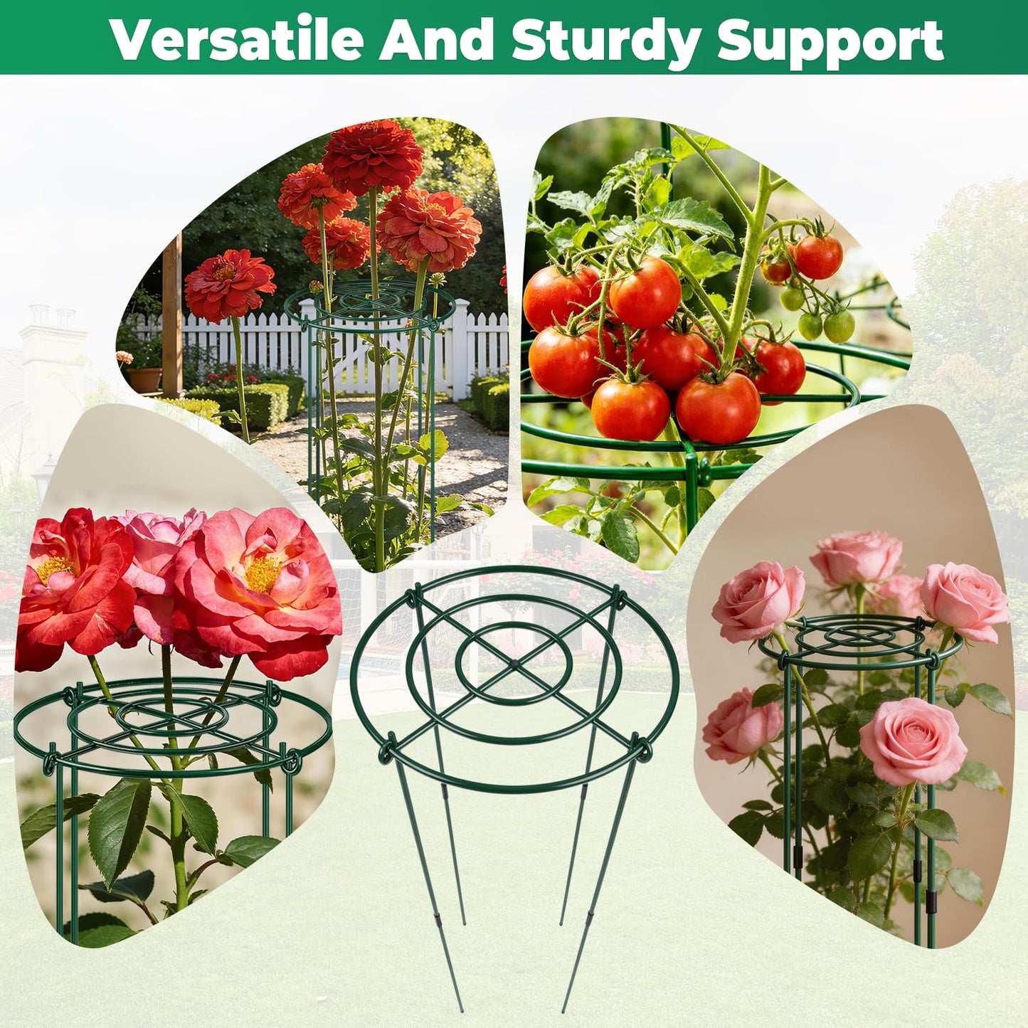 QwayHome 6Pack Peony Cages and Supports 33''H x 13''D Grow Through Large Plant Support, Adjustable High, Heavy Duty, Rust-Resistant, Round, Flower Support Cage Ring for Rose Tomato Hydrangea