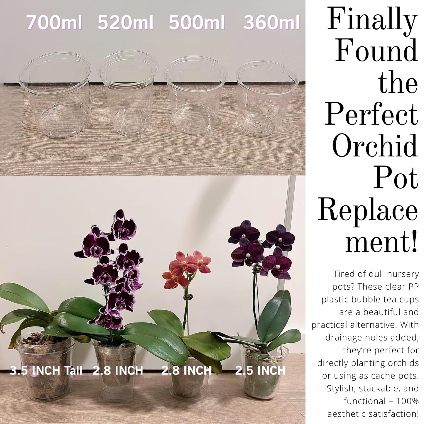 Yuvori Clear DIY Orchid Pot – 3.5 Inch Teacup Planters & Stylish Covers for Phalaenopsis, Succulents & Indoor Plants – Customizable Drainage (24 oz Clear Plastic Teacup Planters (50-Pack))