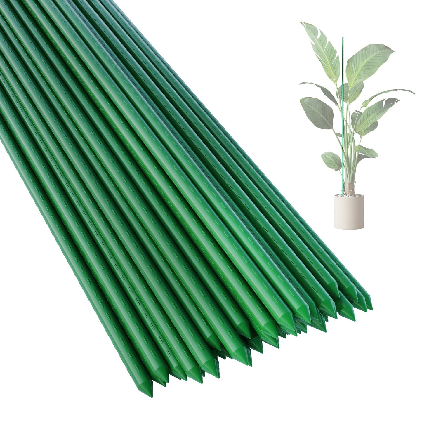 PROWORX 36 Inch 3 Ft Plant Support Garden Stakes 25 PCS, Sturdy Steel Plastic Coated Sticks for Outdoor Growing Climbing, Tomato, Trees, Cucumber, Beans