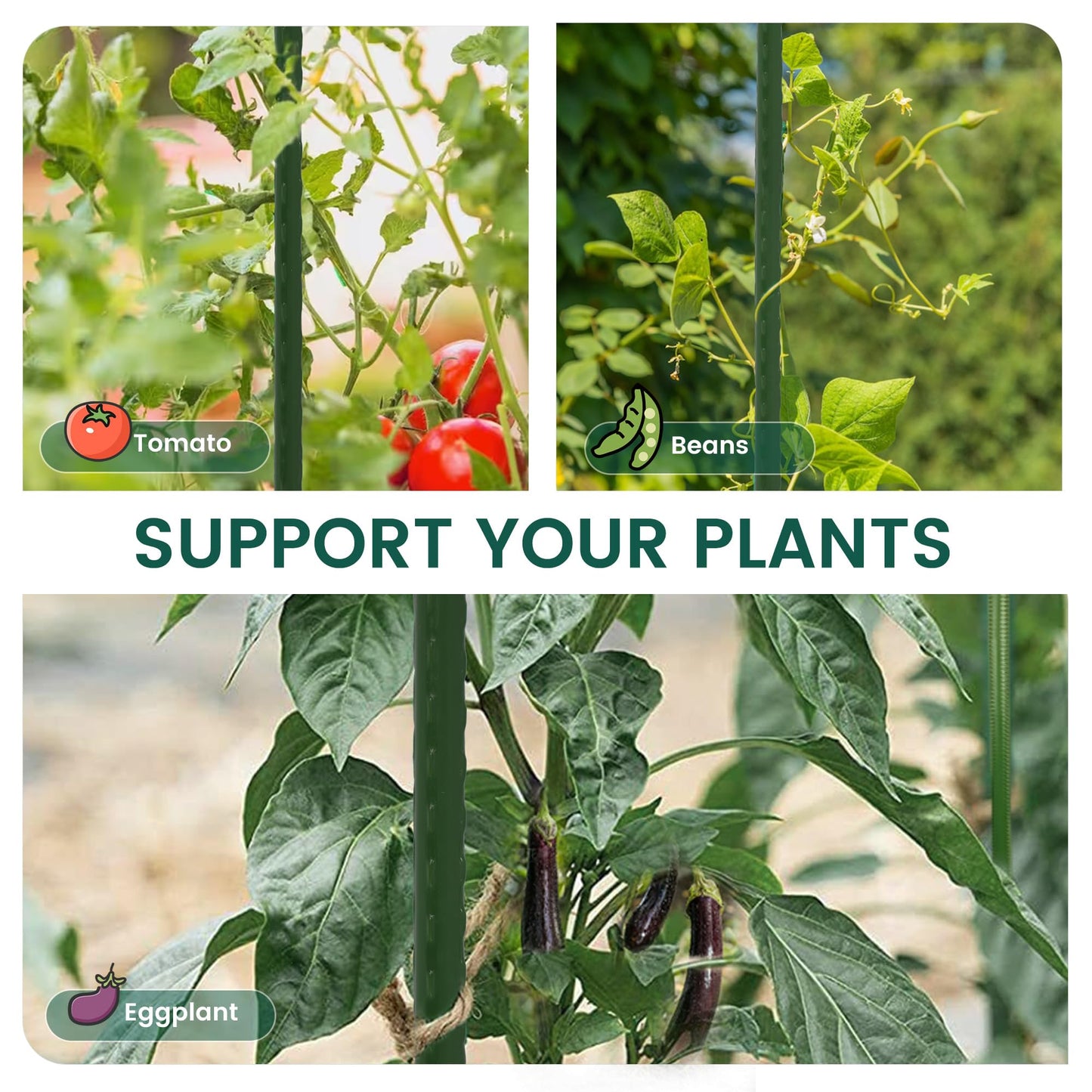 PROWORX 36 Inch 3 Ft Plant Support Garden Stakes 25 PCS, Sturdy Steel Plastic Coated Sticks for Outdoor Growing Climbing, Tomato, Trees, Cucumber, Beans