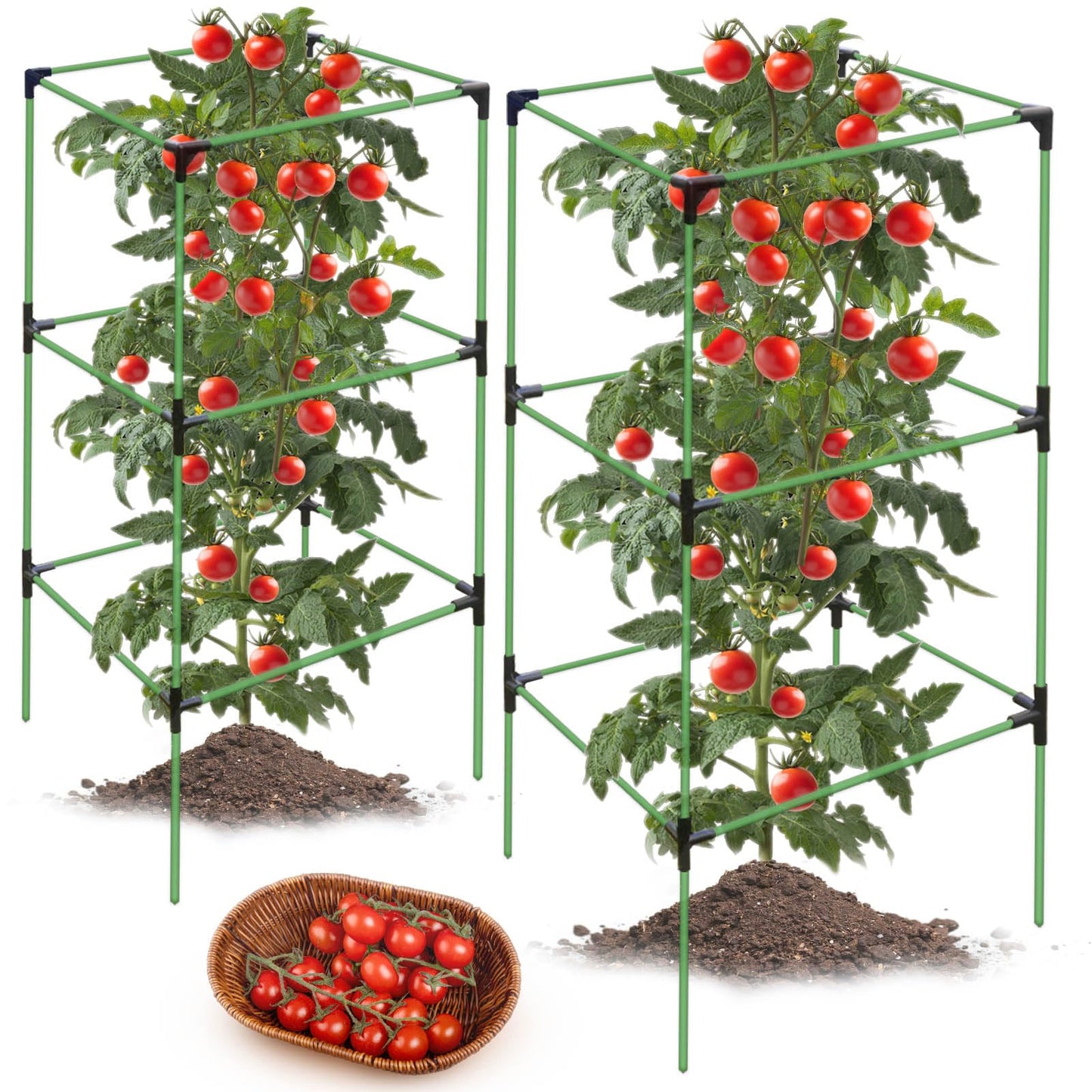 2 Pack Tomato Cages for Garden,Square Tomato Plant Cage Support Heavy Duty Pole 57*15.4*15.4 Inches,Steel Plant Tower Stakes,Cherry Tomato Trellis Cucumber for Climbing Vegetables Flowers Fruits-Green