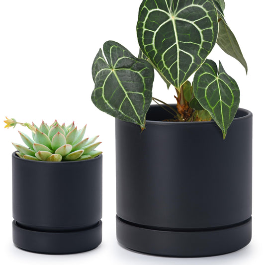 Phoenix Vine 4 Inch and 6 Inch Planter Pot with Drainage Hole & Deep Water Catch Tray Saucer, Straight Cylindrical Round Pot for Plants, Matte Black, 23-A-2-Z