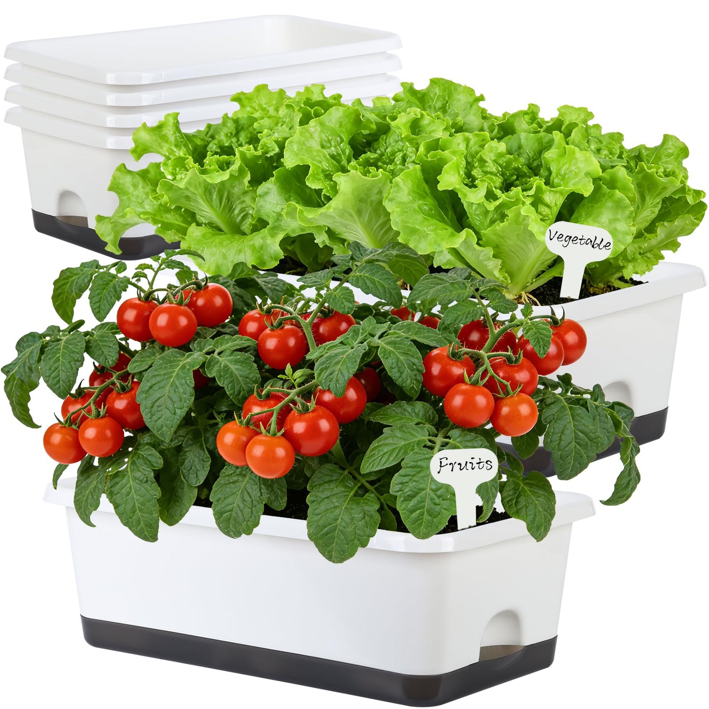 Window Box Planter 6 Pcs, 18 Inches Rectangle Flower Pots with Drainage Holes and Trays, Vegetable Planters for Windowsill Patio Garden Balcony Home Porch Yard Indoor Outdoor (White, 18*10*6 inch)