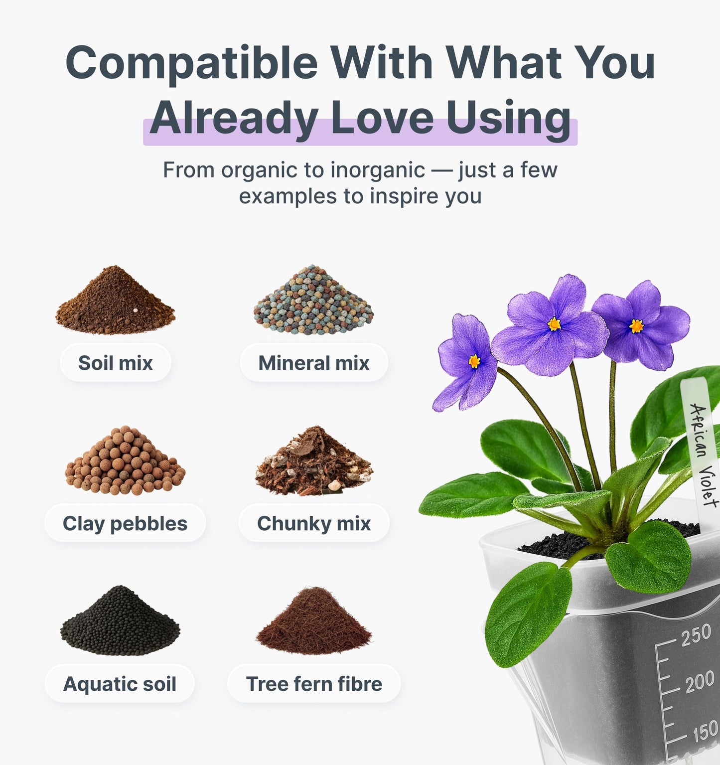 Vandorelle 12 Pack 2.5" Small Self Watering Pots for Indoor Plants, Mini Clear Plastic Planters, Semi-Hydro, Propagation, Cuttings, Seedlings, Hoya, African Violets, Alocasia, LECA, PON,12 Plant Label