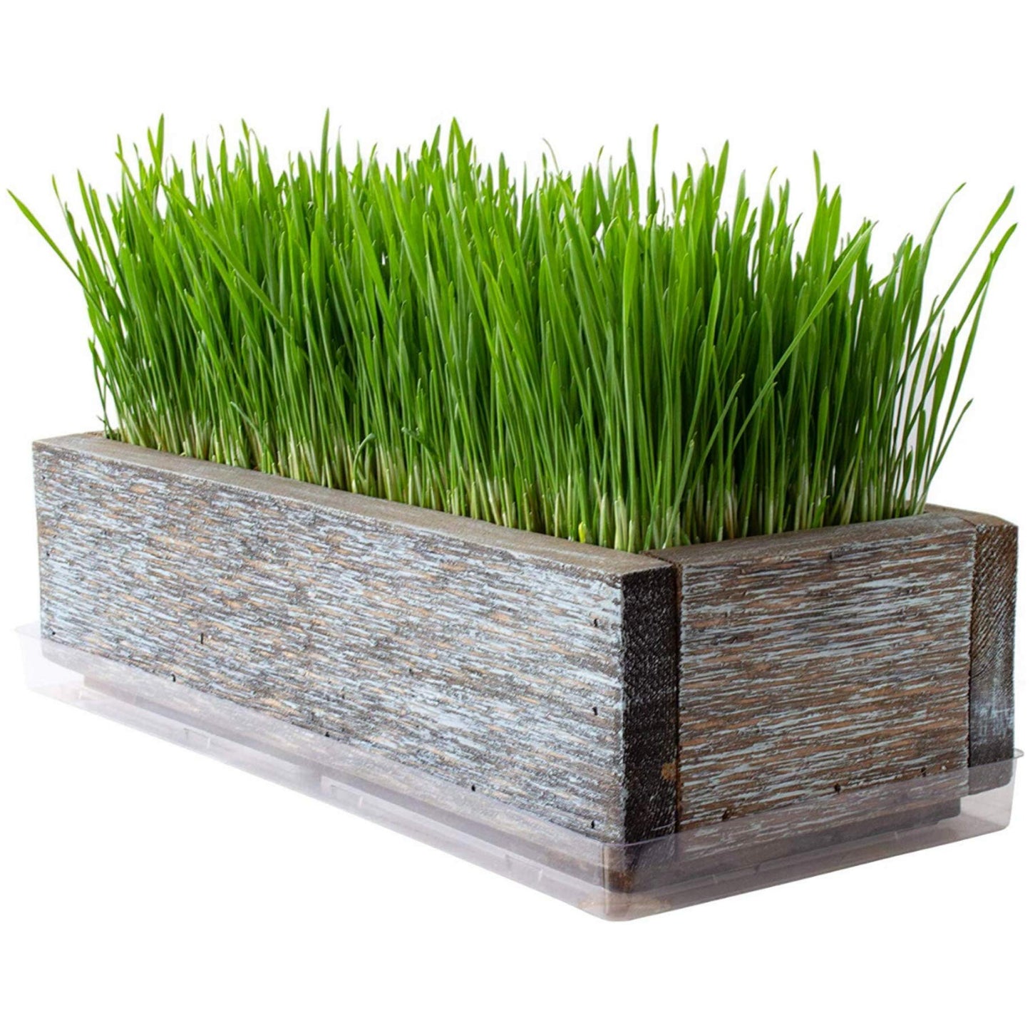 Organic Cat Grass Seeds Kit - Decorative Reclaimed Barnwood Style Organic Wheatgrass Seeds Planter - Aged Brown - Hairball Remedy for Cats, Healthy Pet Grass Supplement & Wheatgrass Growing Kit