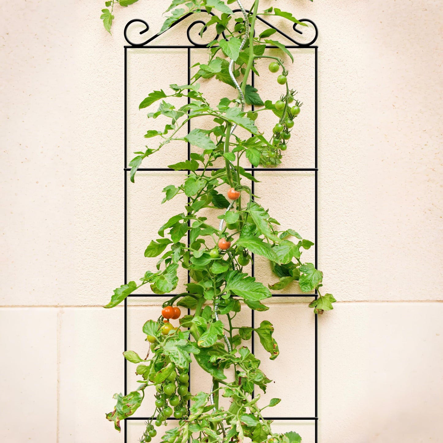 ARIFARO 47'' Metal Garden Trellis for Climbing Plants,(Pack of 4) Indoor/Outdoor Sturdy Plant Trellis for Potted Plants,House Plants, Climbing Vines, Black