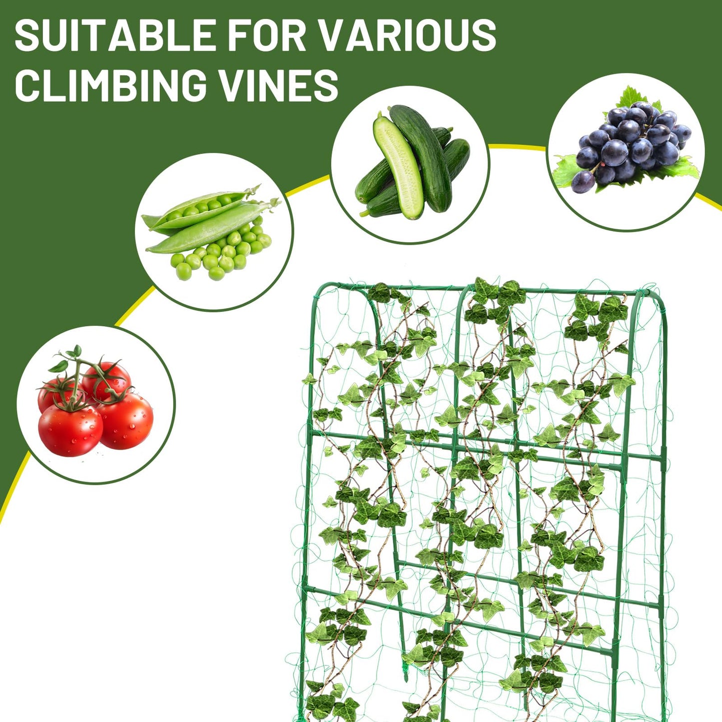 PHENEAHILL Compact U-Shaped Plant Trellis for Peas, Beans & Light Climbing Plants - Rust-Resistant, Foldable Design, Lightweight Steel, Ideal for Raised Beds & Patio Gardens(31" W x 47" H)