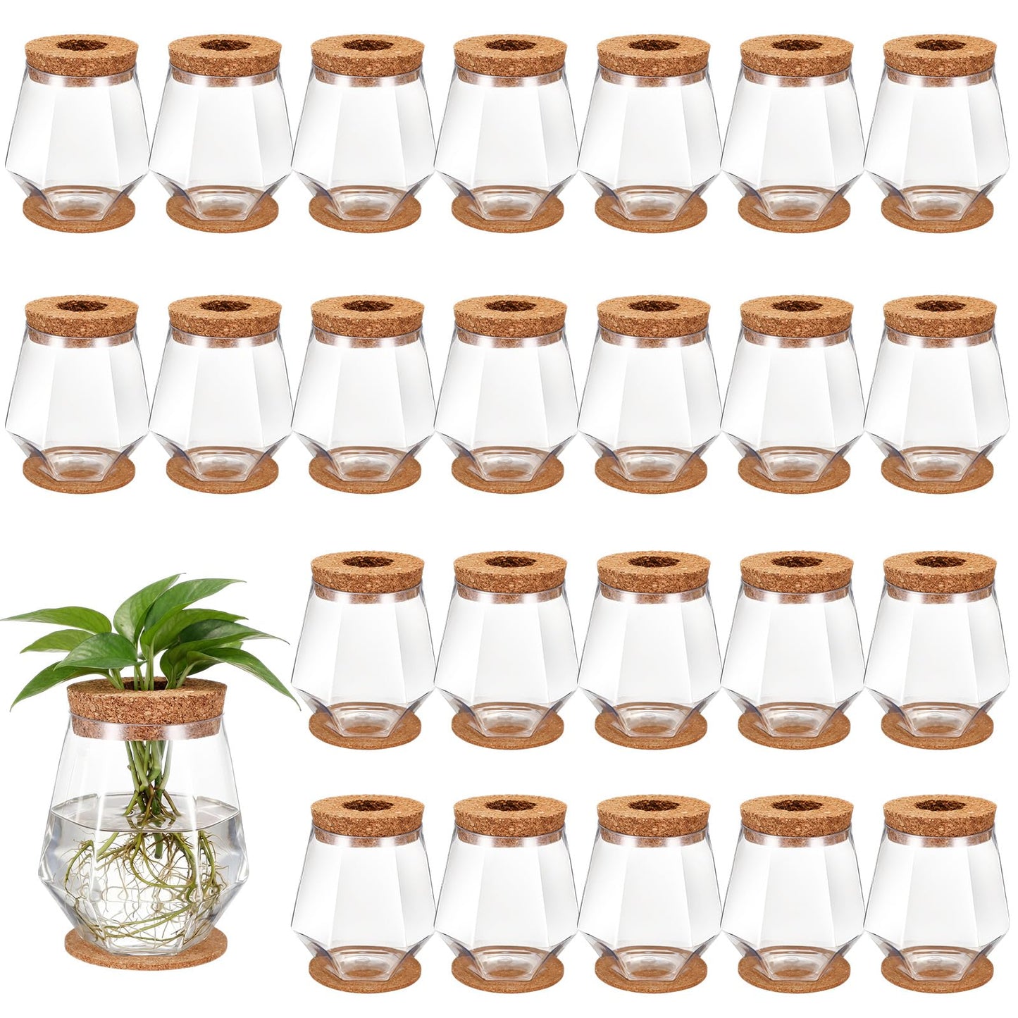 Baderke 24 Packs Plastic Desktop Plant Terrariums Propagation Planter Tabletop Planting Vase with Lid and Cork Plant Coasters for Growing Hydroponic Home Office Table Decoration (Diamond Style)