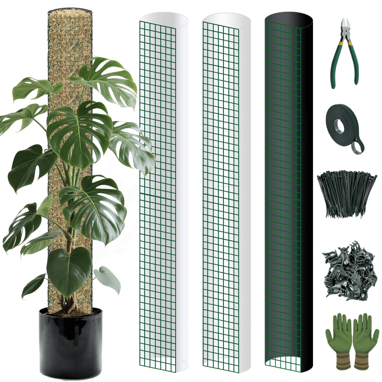 Metal Moss Poles for Climbing Plants, D-Shape Sphagnum Moss Pole Monstera Plant Support for Climbing Plants, DIY Plant Stakes Work with Sphagnum Moss (12ft D-Shaped)