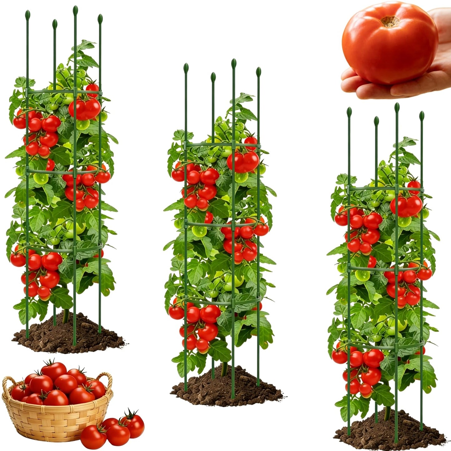 3 Pack Heavy Duty Tomato Cages for Garden, 59 Inch Tall Adjustable Metal Tomato Plant Support for Pots, Round Trellis for Climbing Plants Outdoor, Vegetable, Cucumber, Beans