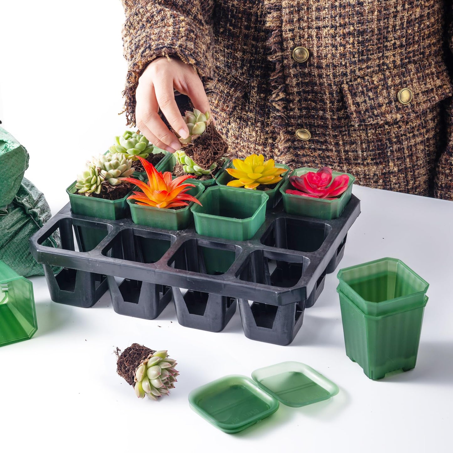 foxany 3 Inch Transparent Green Nursery Pots, 30 Pcs Thick Plastic Plant Pot, Square Flower Planting Pots Variety Pack, Seedling Planter Starter Pots with Saucers for Garden