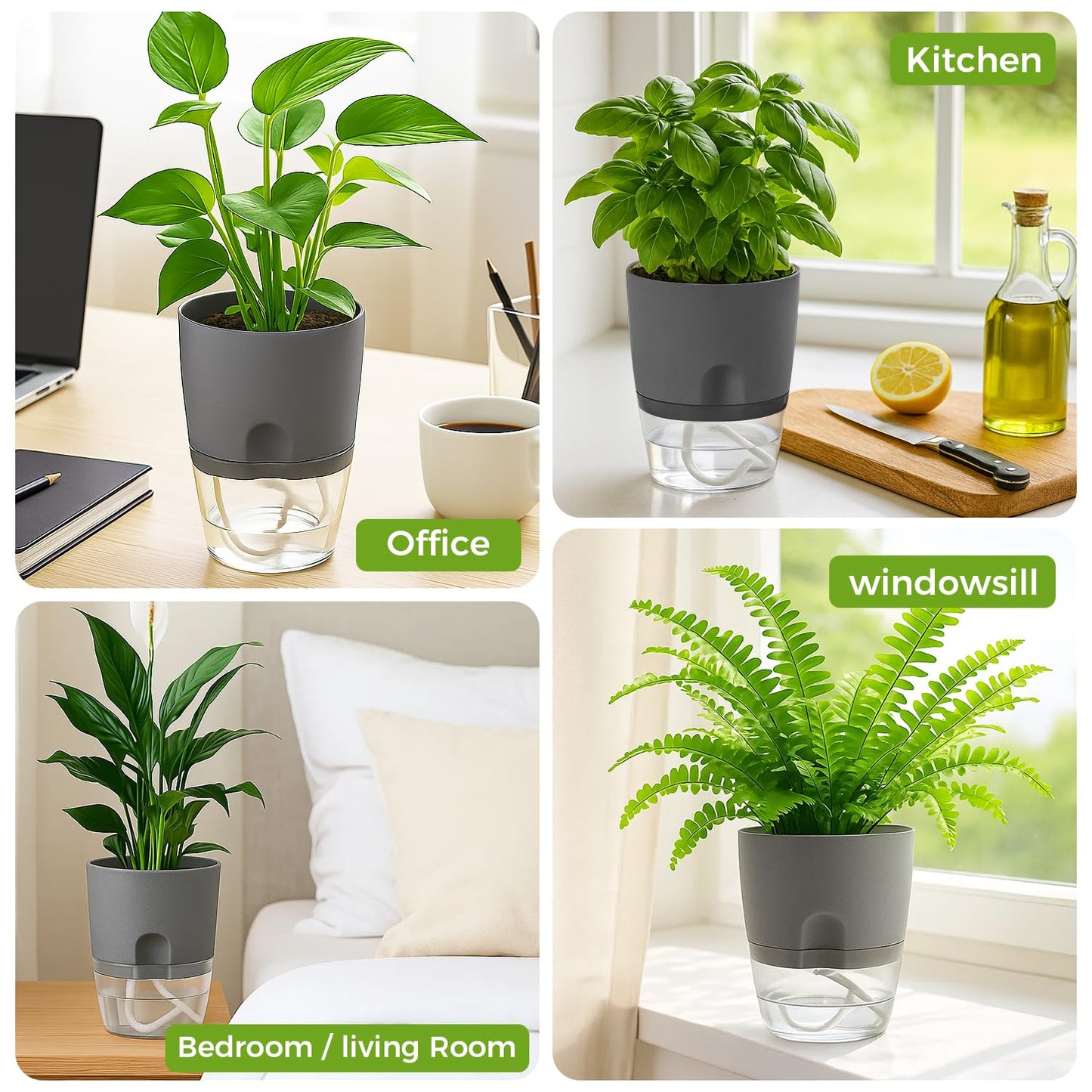 Planterhoma 8 Pack Self Watering Pots for Indoor Plants, 6 Inch Plant Pot Plastic Self Watering Planter for Orchid, African Violet, Small Clear Flower Pots with Drainage Holes and Wicking Rope, Gray