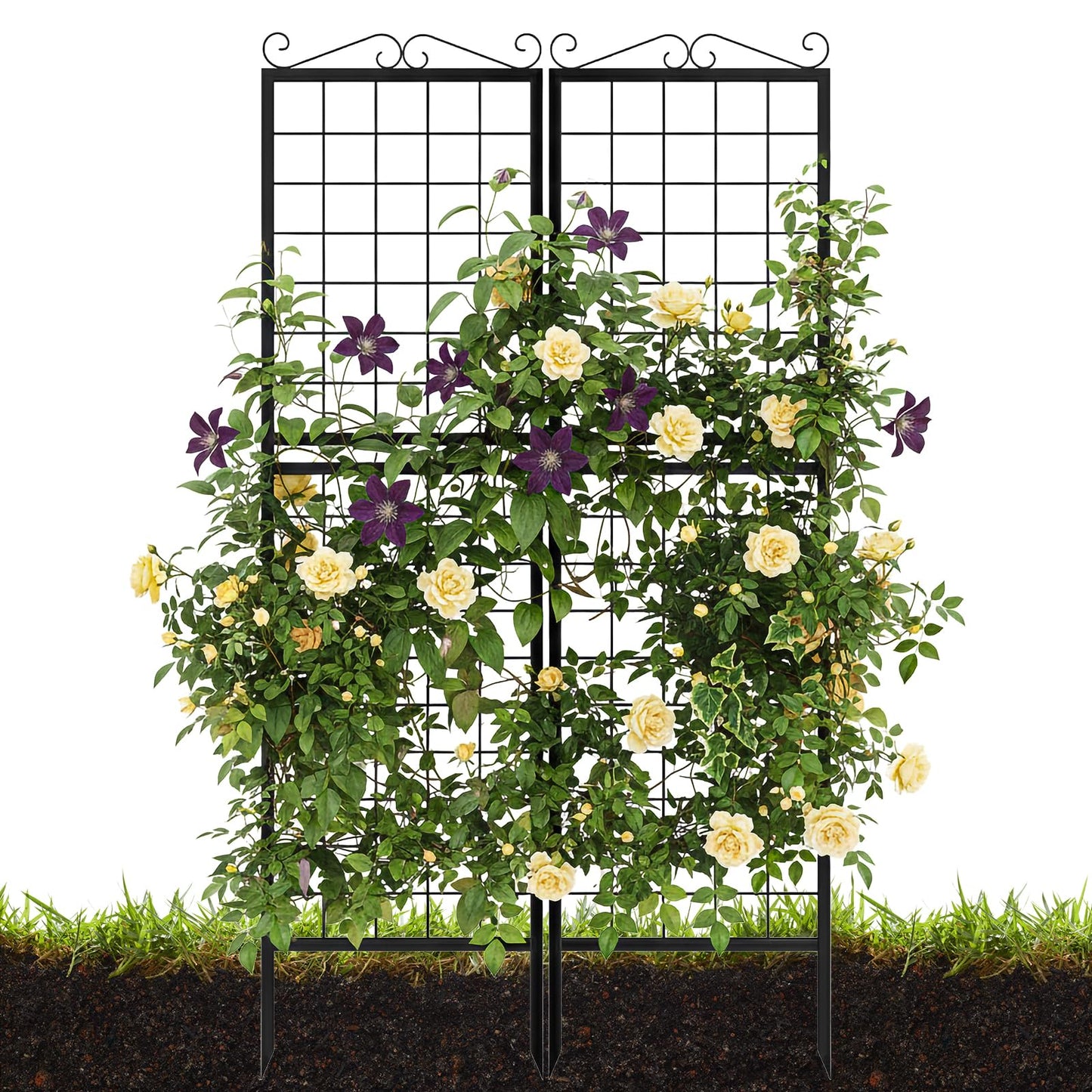 2 Pack 71 Inch Metal Garden Trellis for Climbing Plants, Thickened Square Tube Metal Garden Trellis for Vines Plant Rose Vegetable Support,Large Decorative Outdoor Trellis